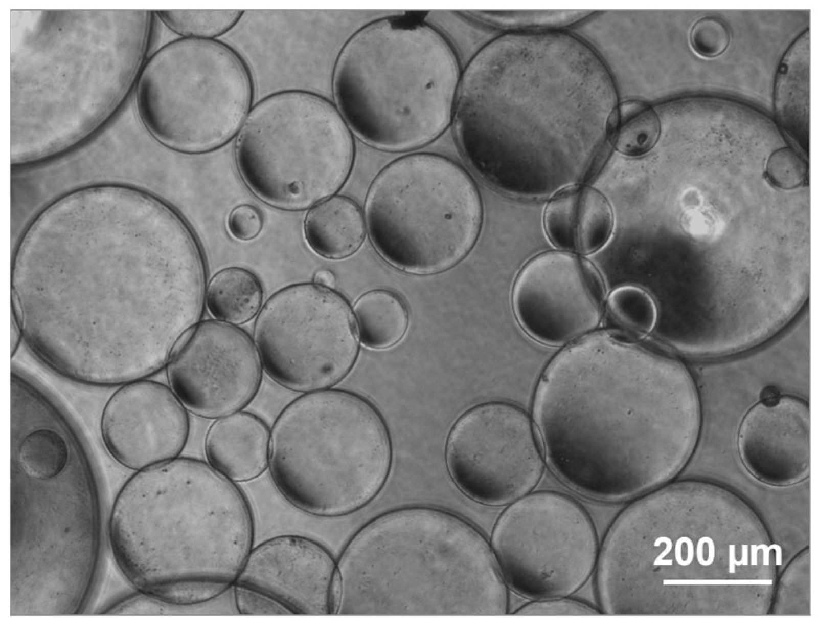 Materials 16 00862 g003 Materials 16 00862 g003