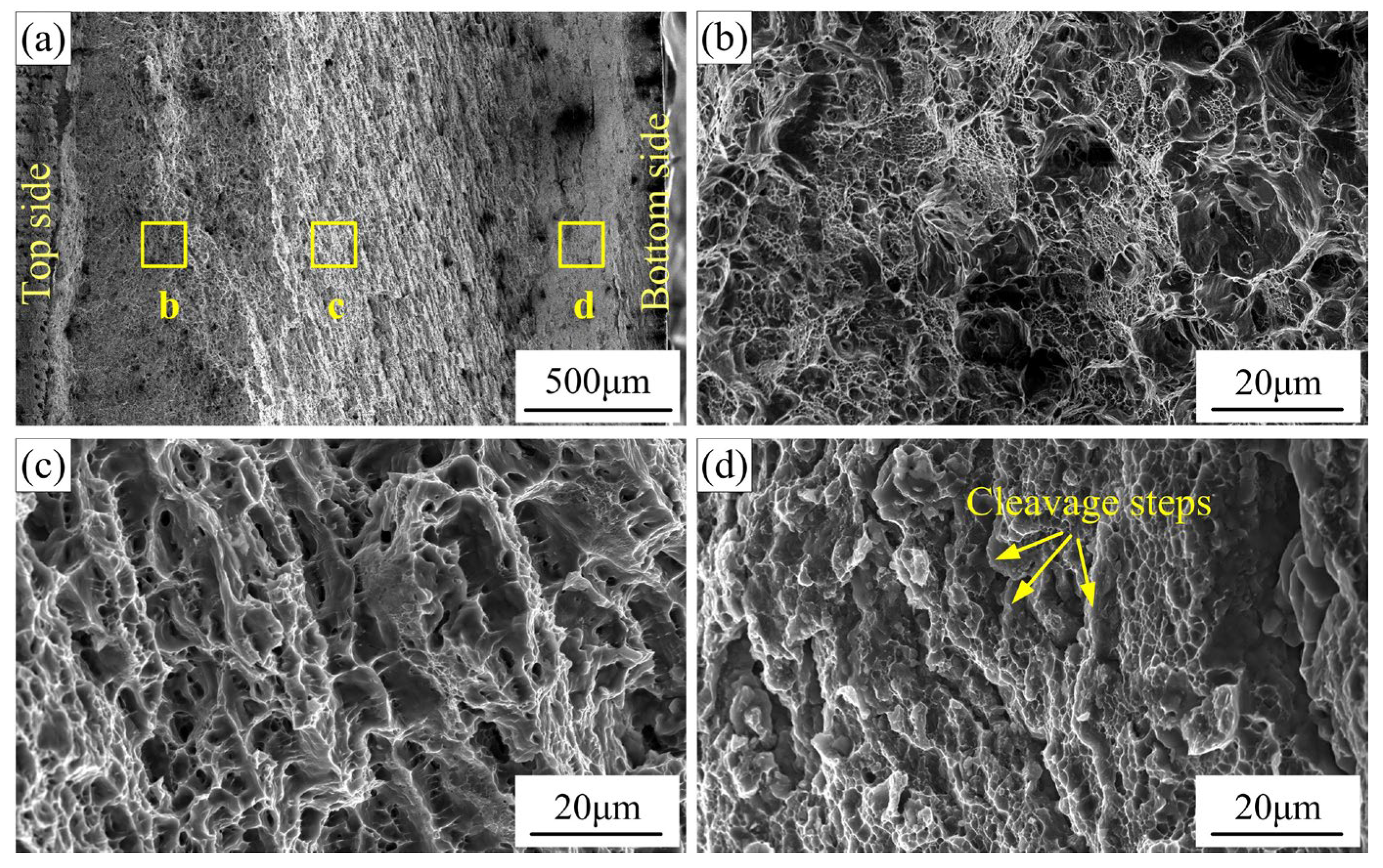 Materials 16 00873 g017