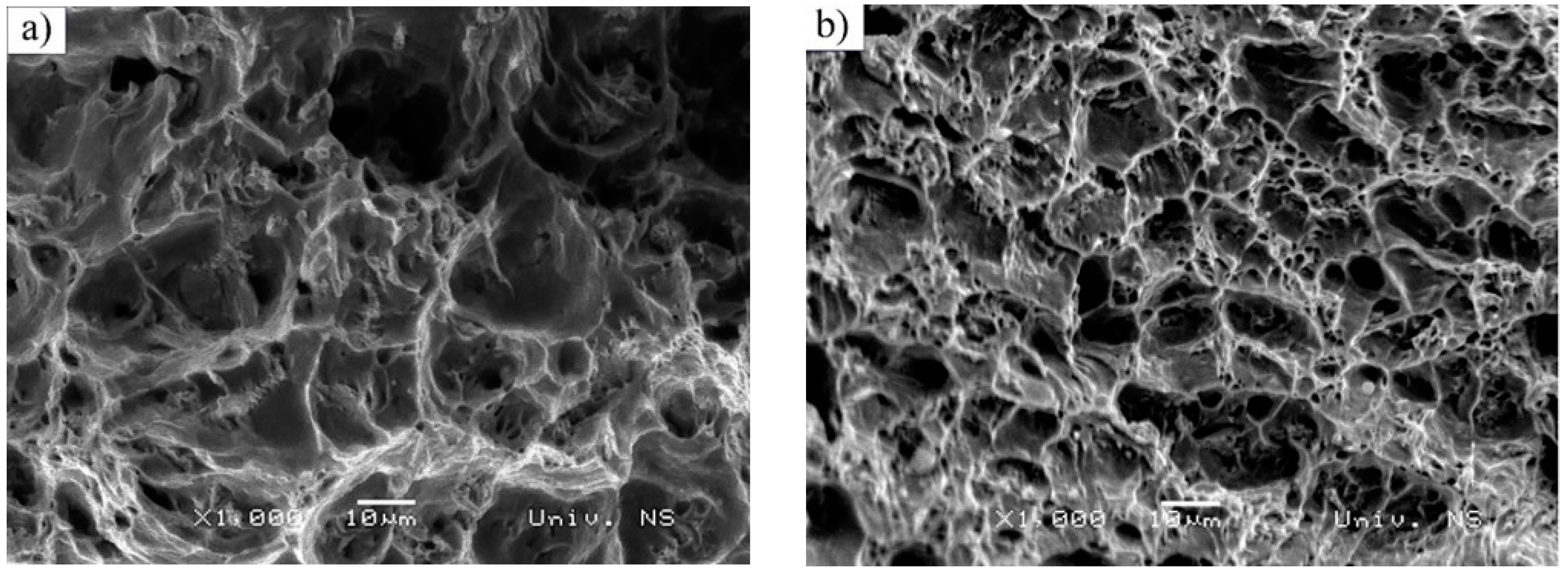 Materials 16 00884 g008