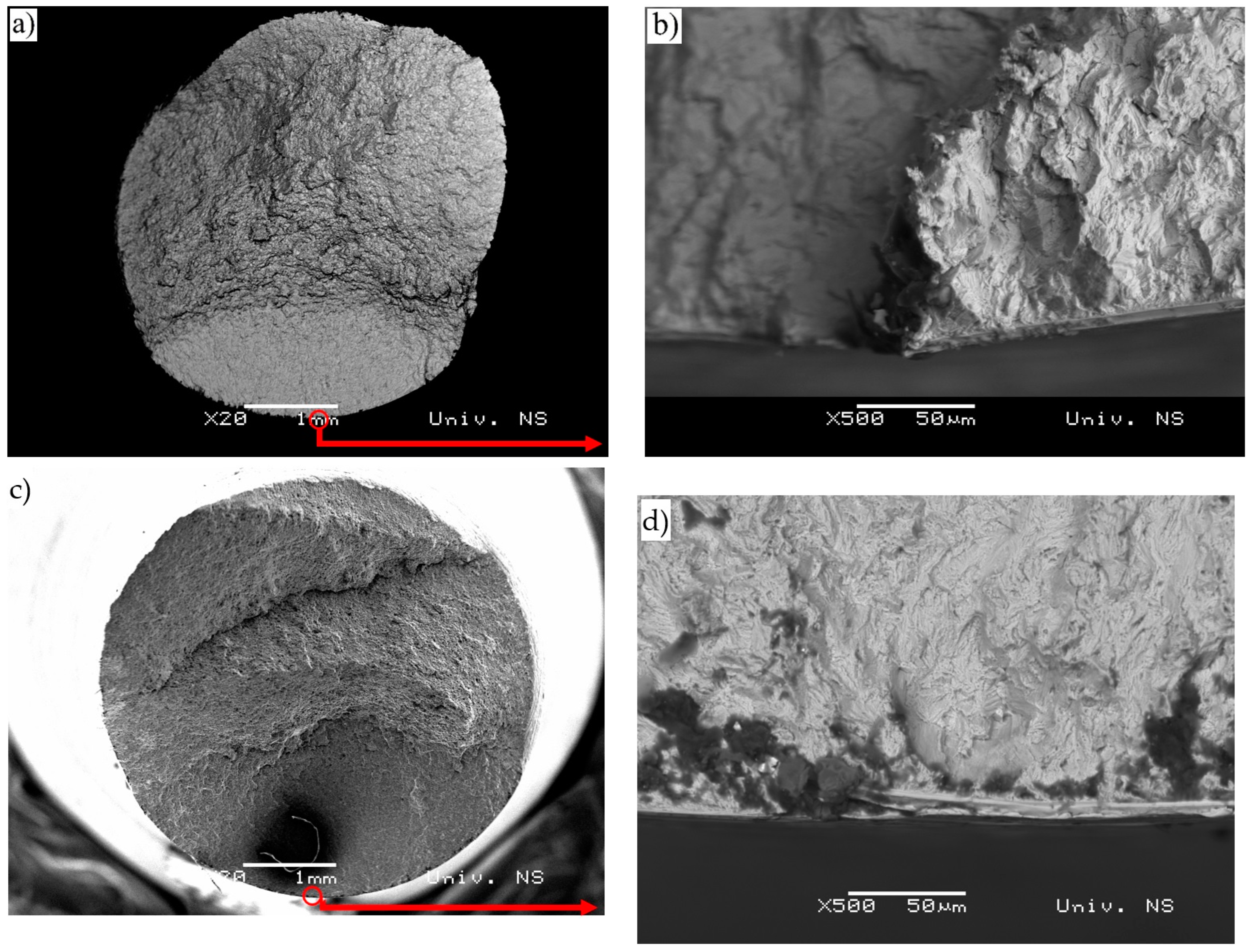 Materials 16 00884 g009