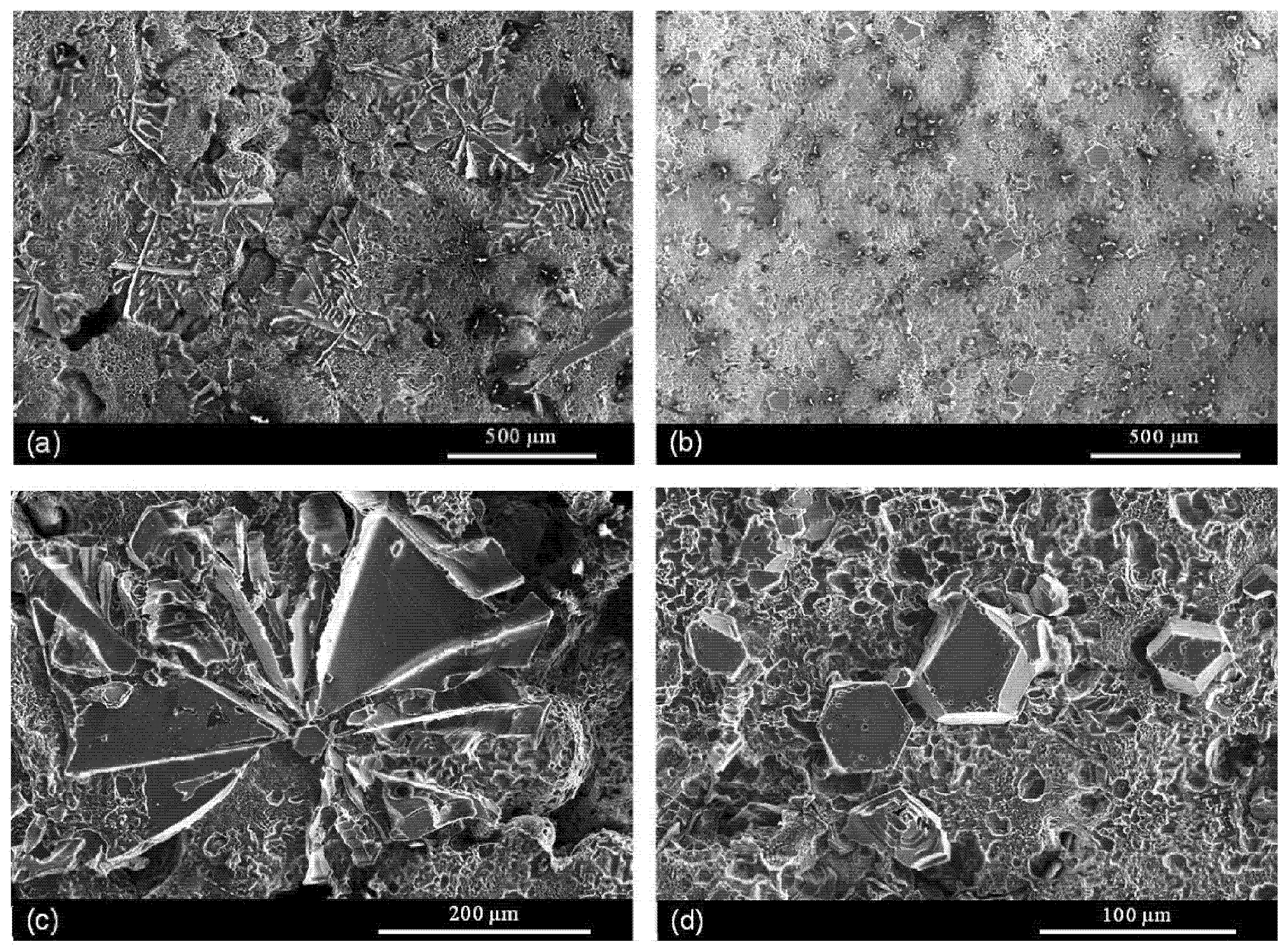 Materials 16 00895 g008