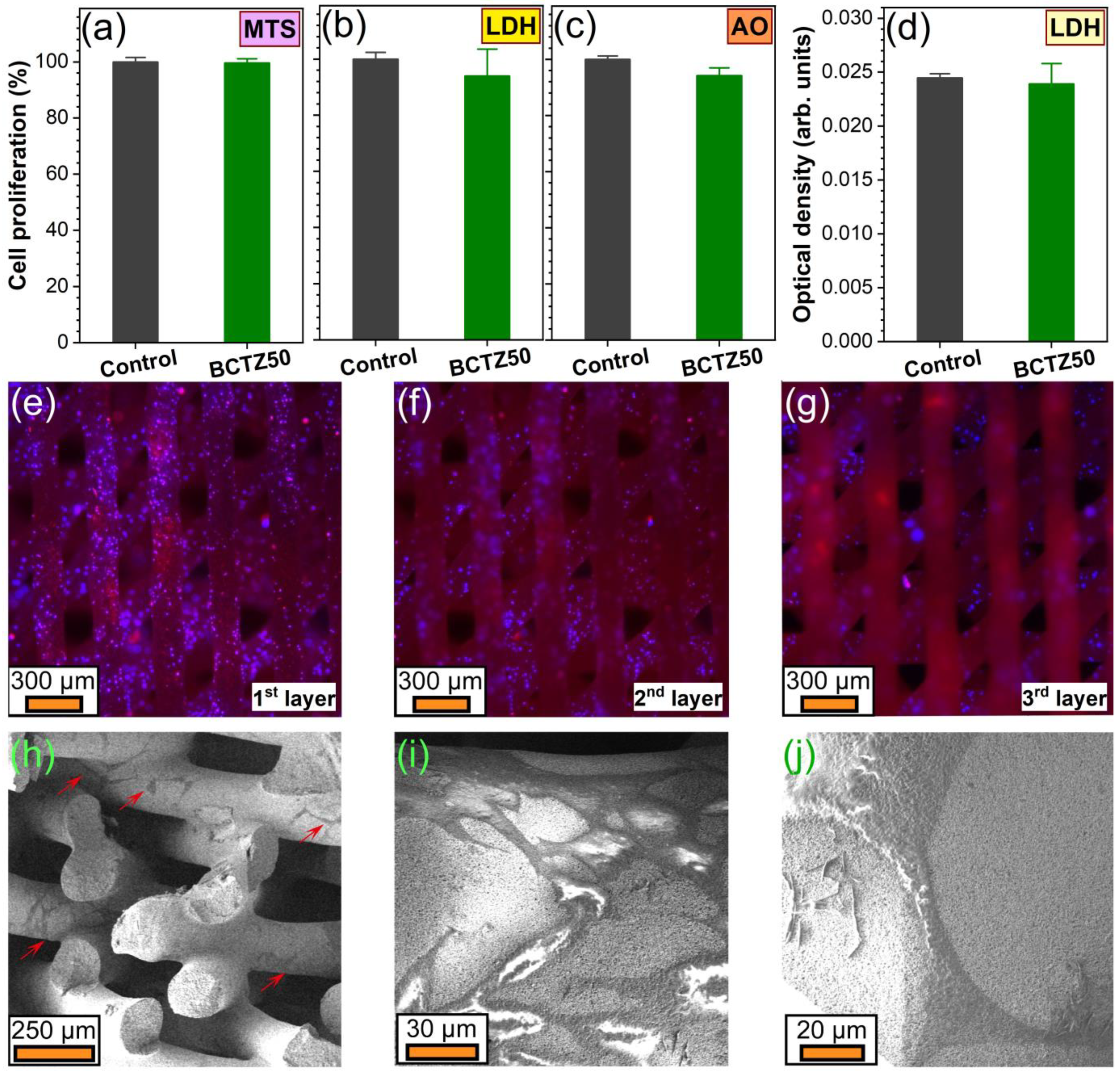 Materials 16 00901 g011 Materials 16 00901 g011