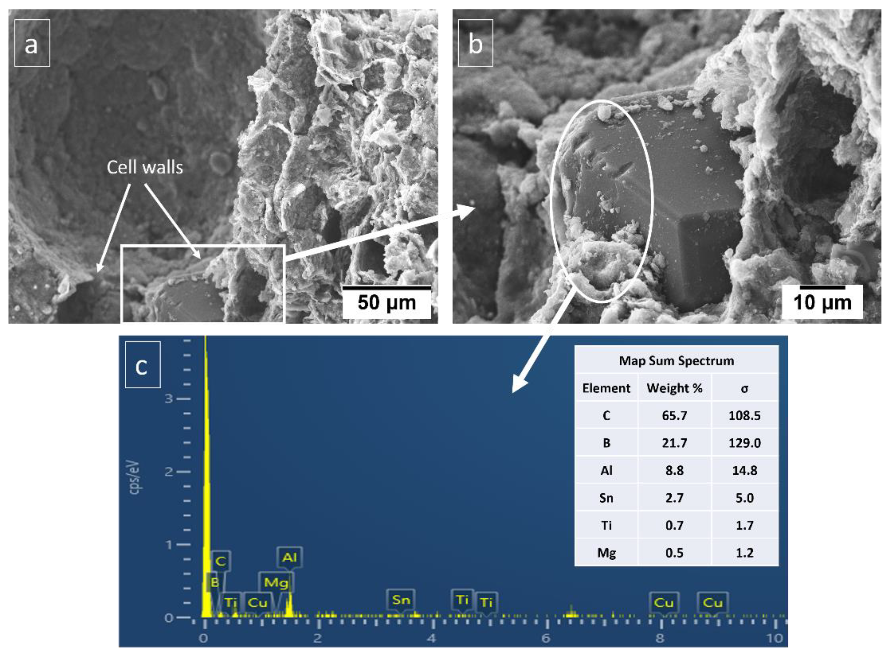 Materials 16 00921 g003 Materials 16 00921 g003