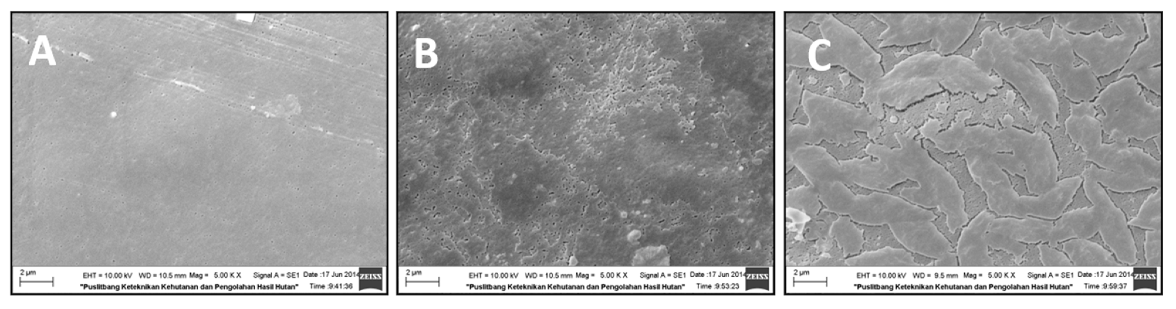 Materials 16 00926 g003