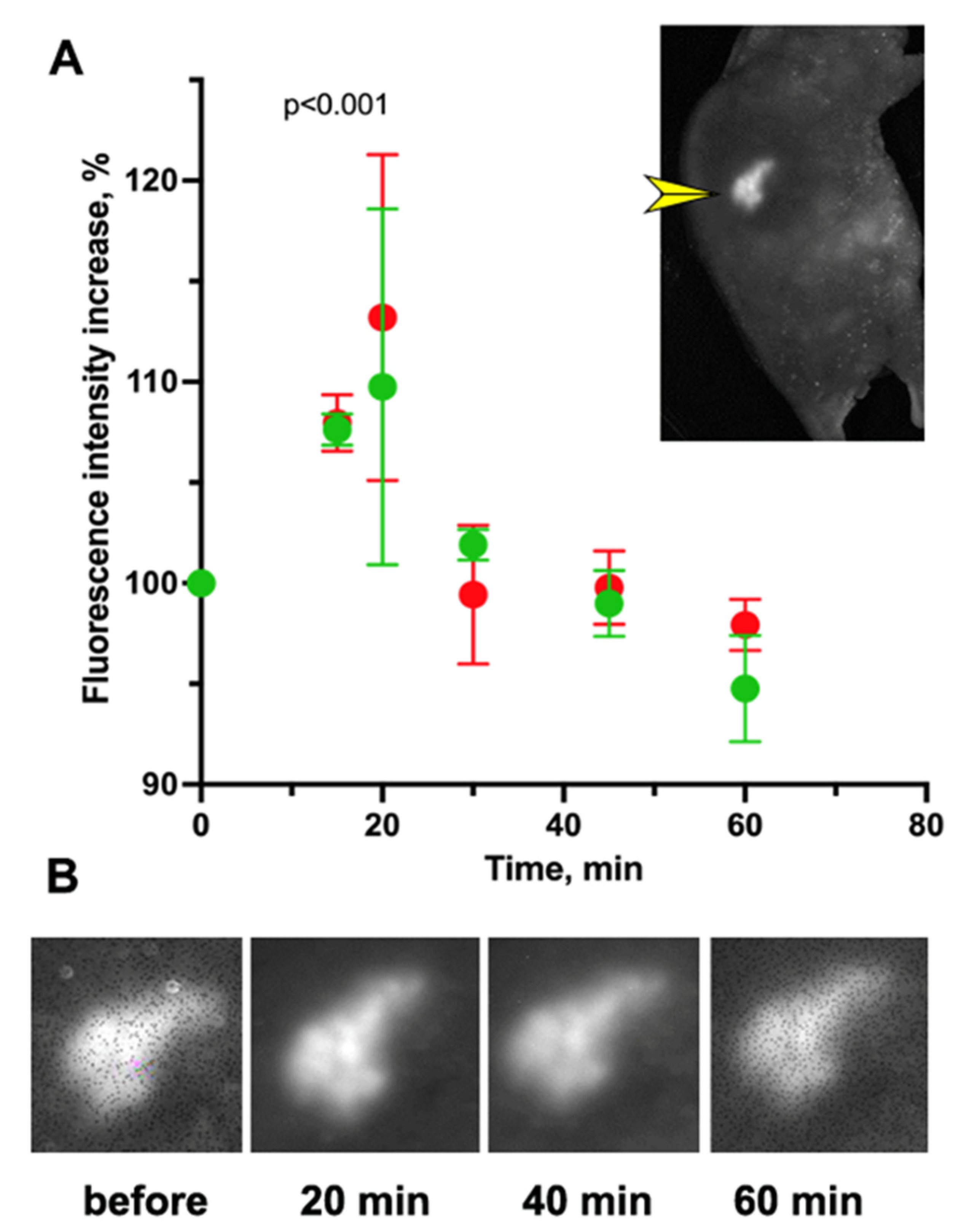 Materials 16 00940 g004