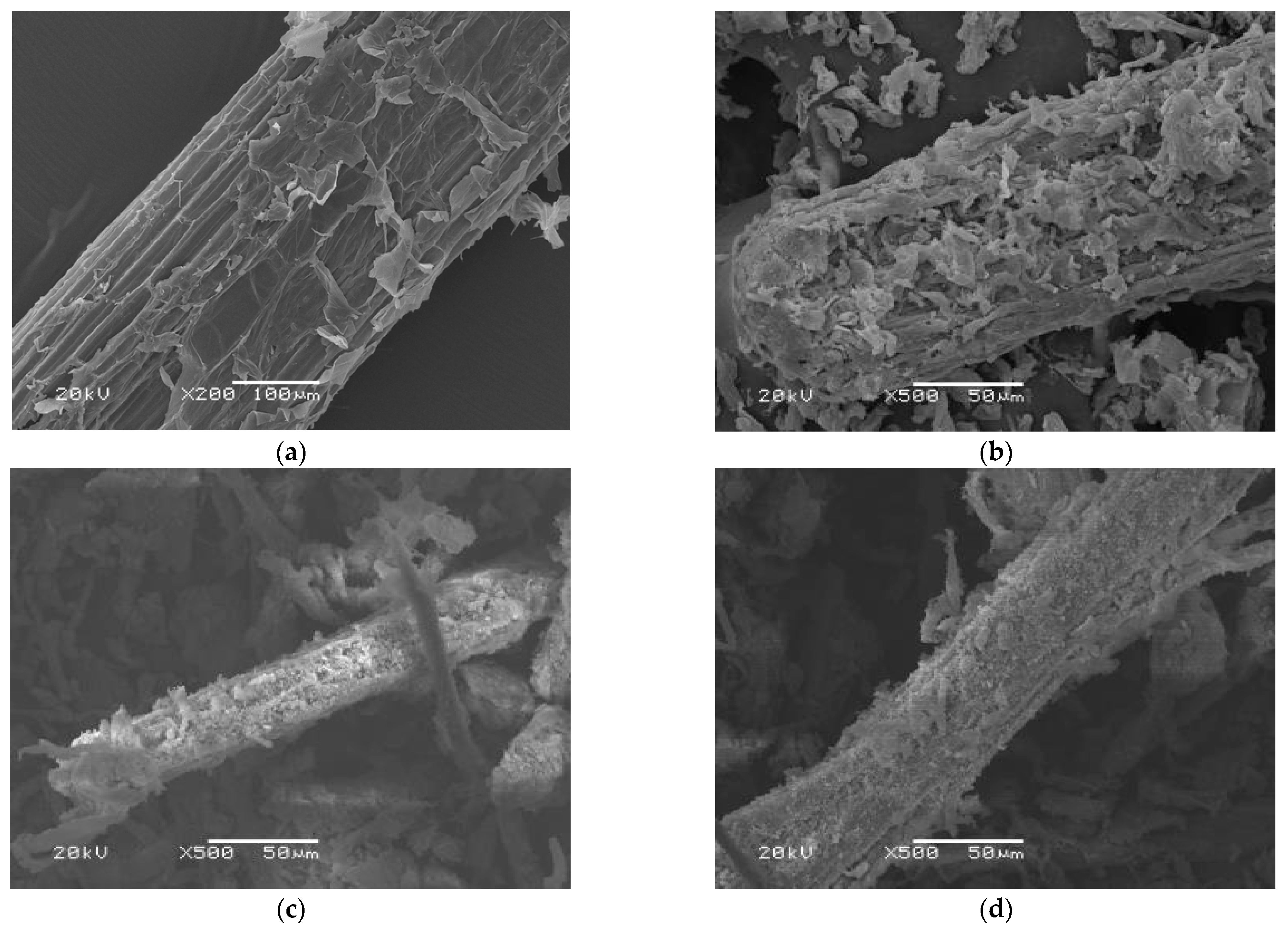 Materials 16 00952 g005a Materials 16 00952 g005a