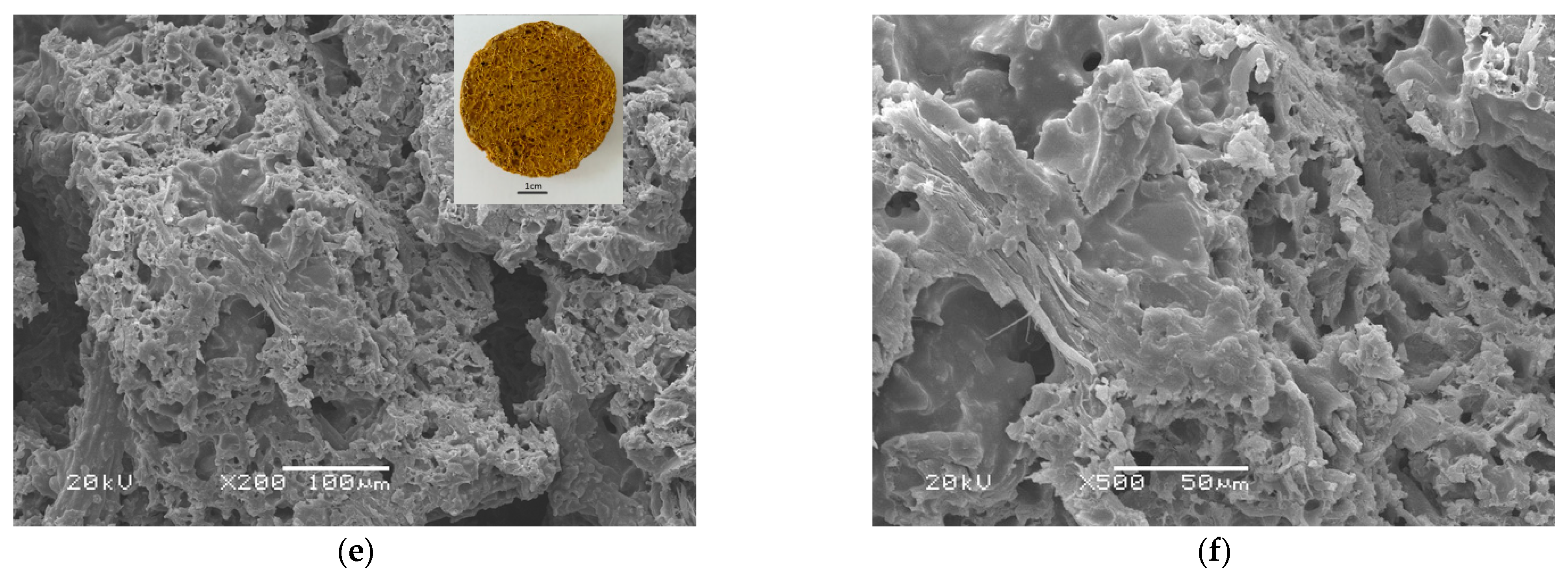 Materials 16 00952 g005b Materials 16 00952 g005b