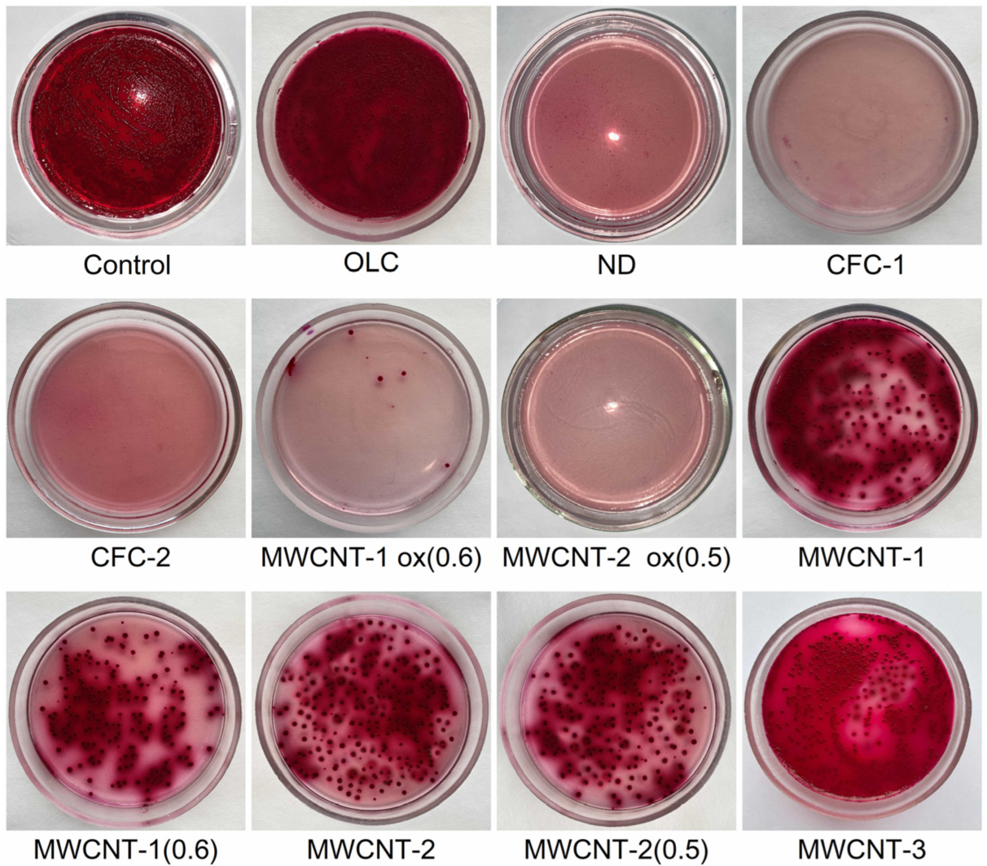 Materials 16 00957 g002