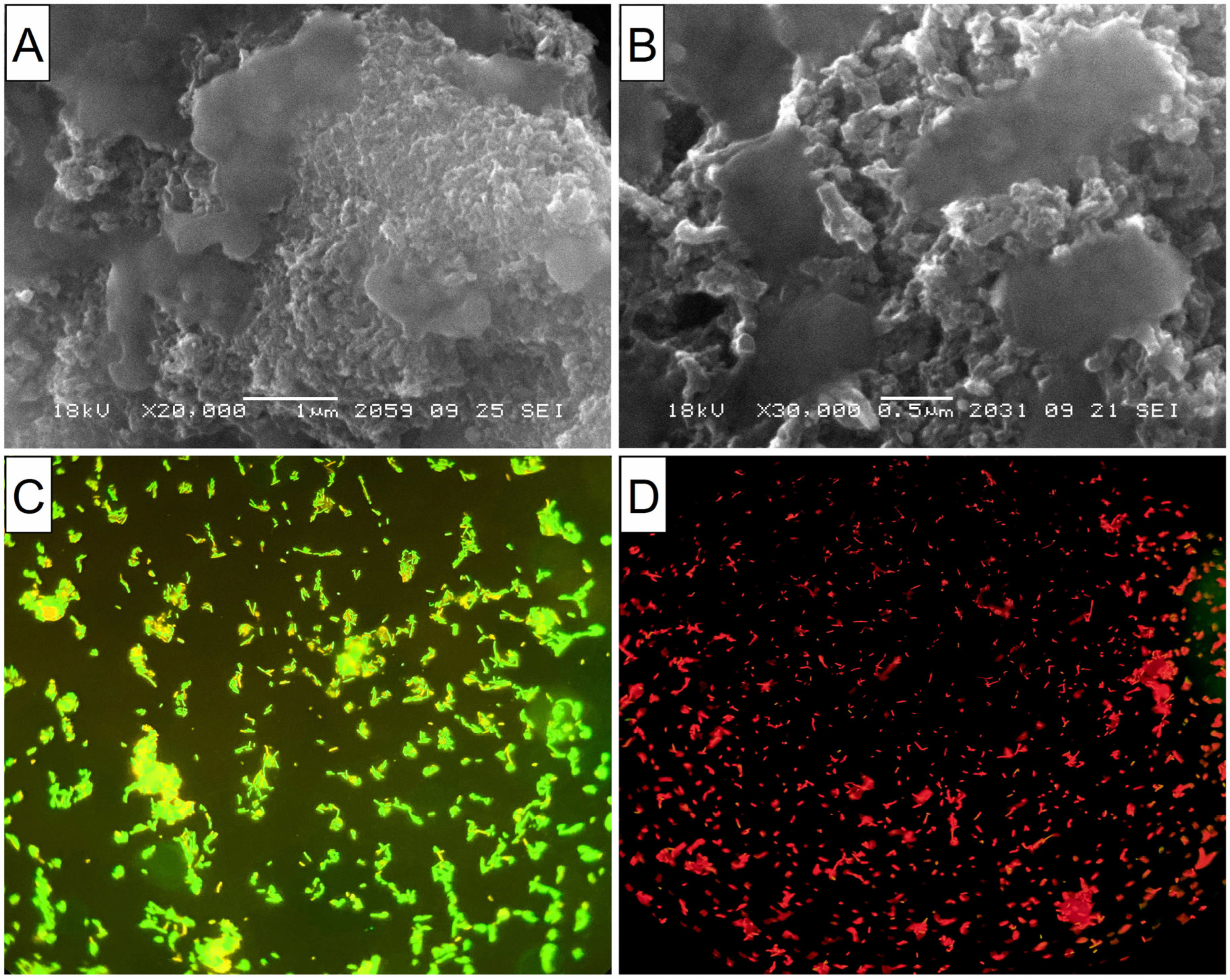 Materials 16 00957 g005