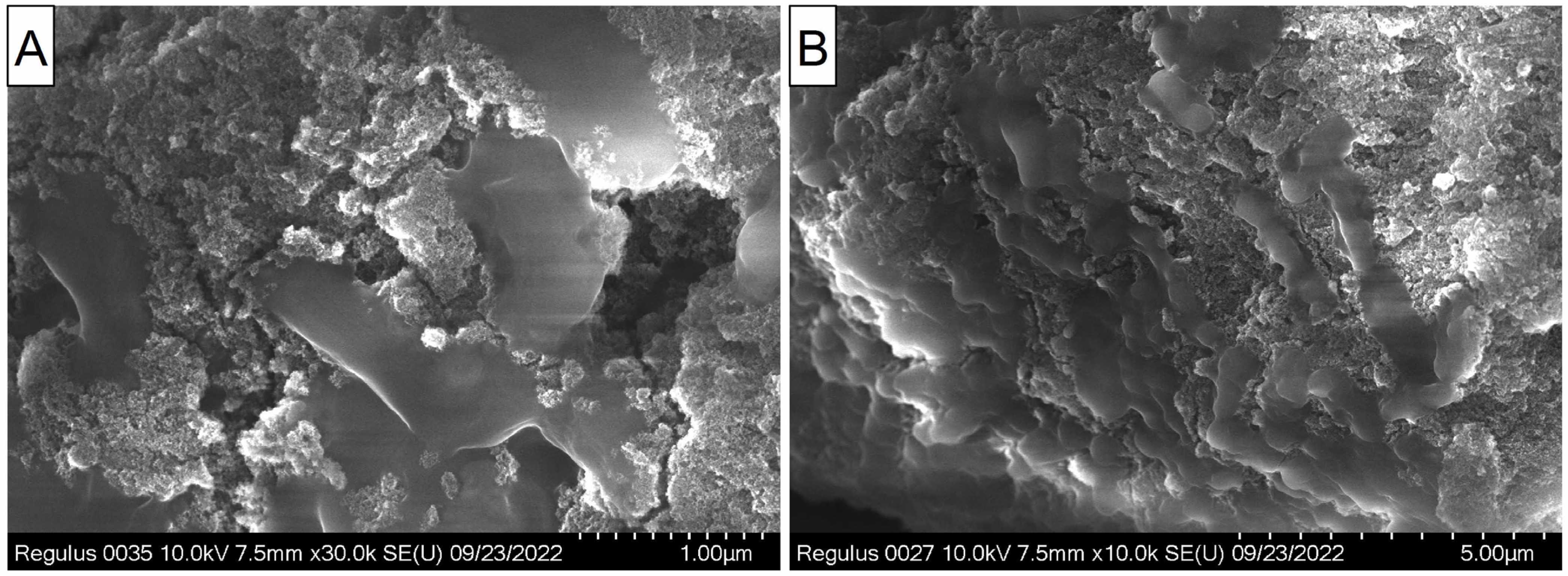 Materials 16 00957 g009