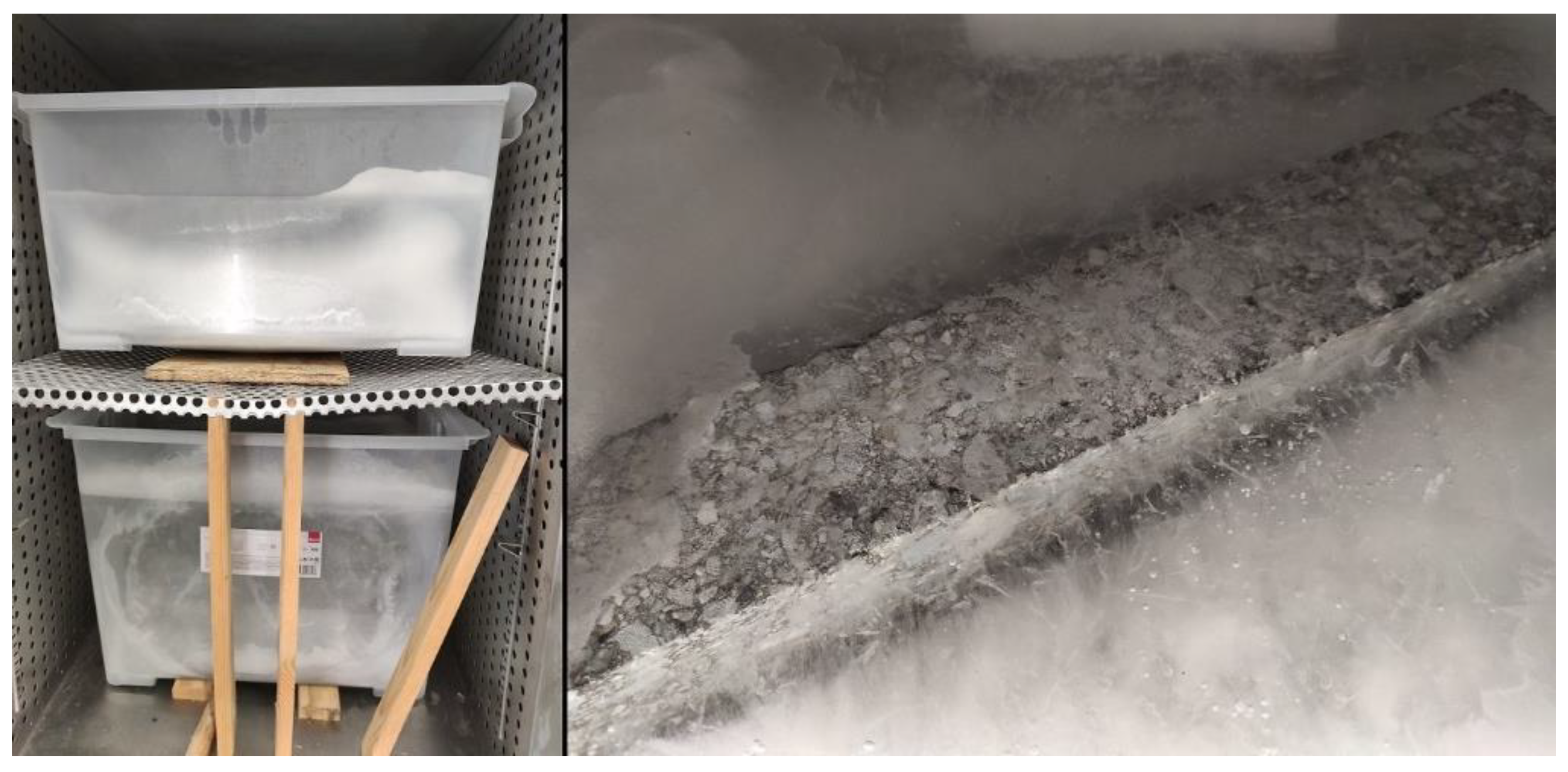 Materials 16 00966 g003