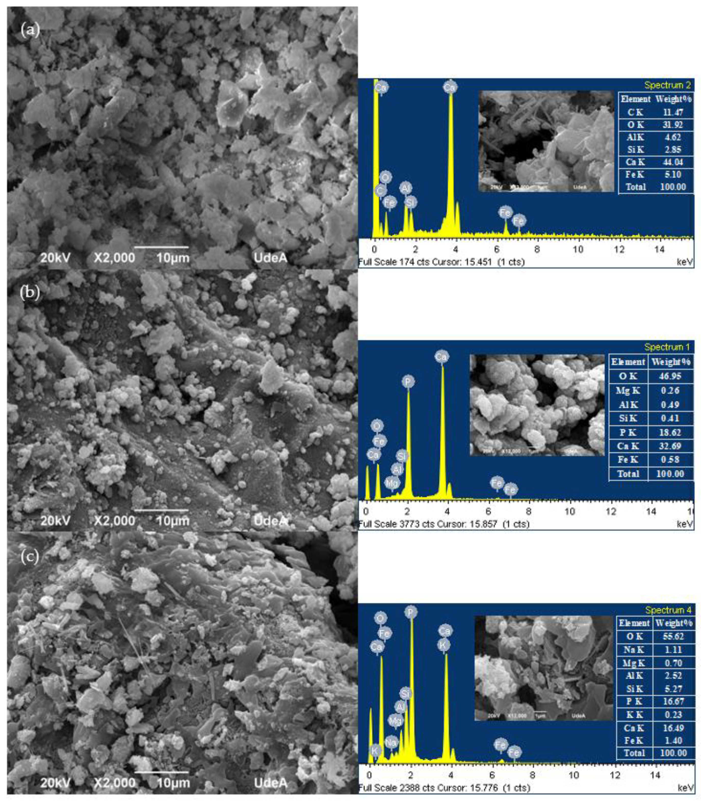 Materials 16 00980 g010