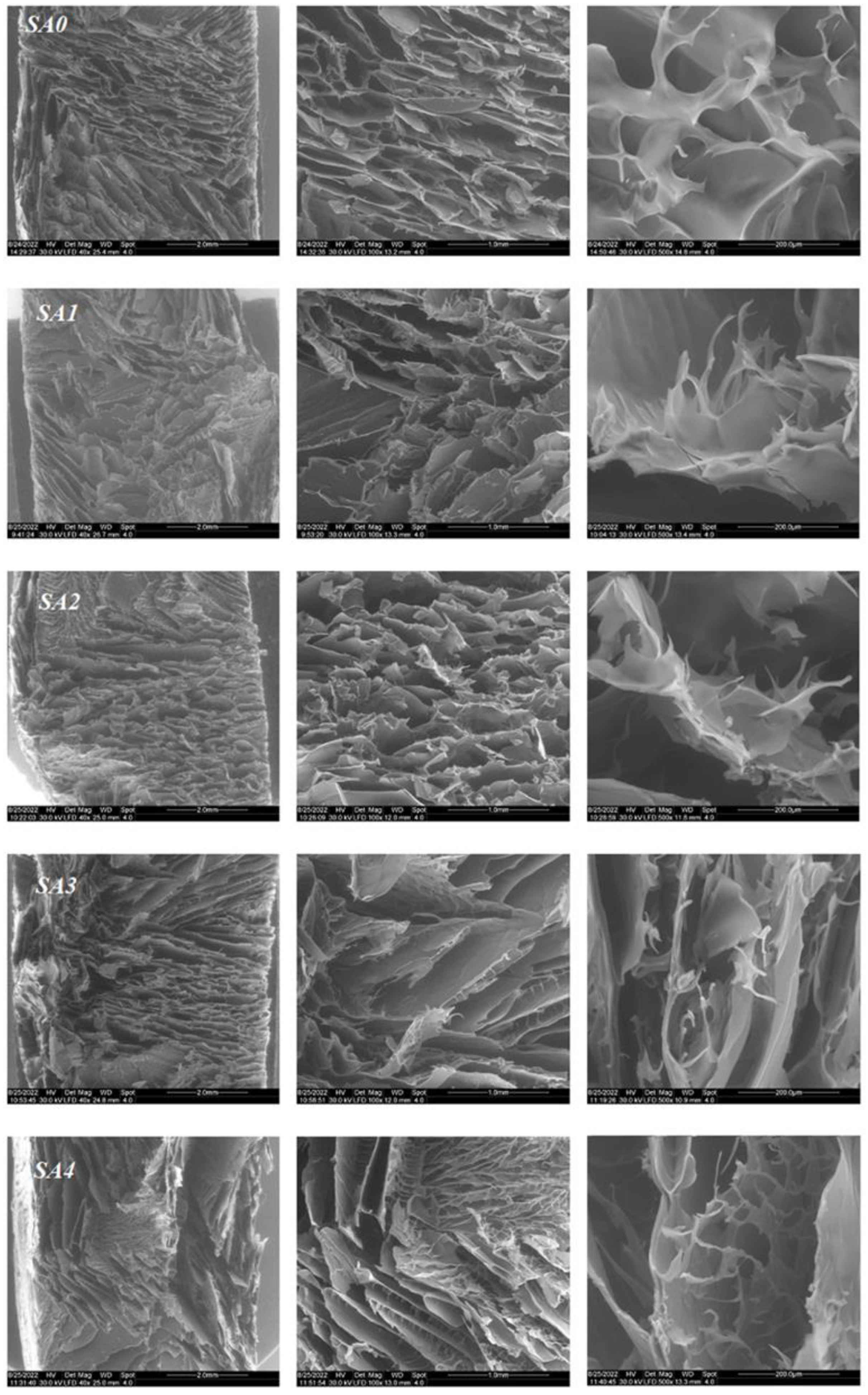 Materials 16 00982 g004 Materials 16 00982 g004