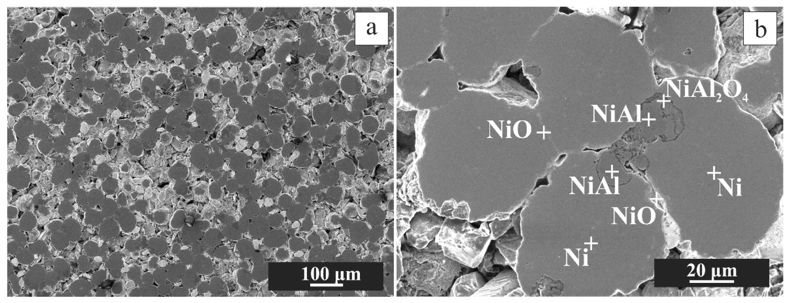 Materials 16 00988 g016 Materials 16 00988 g016