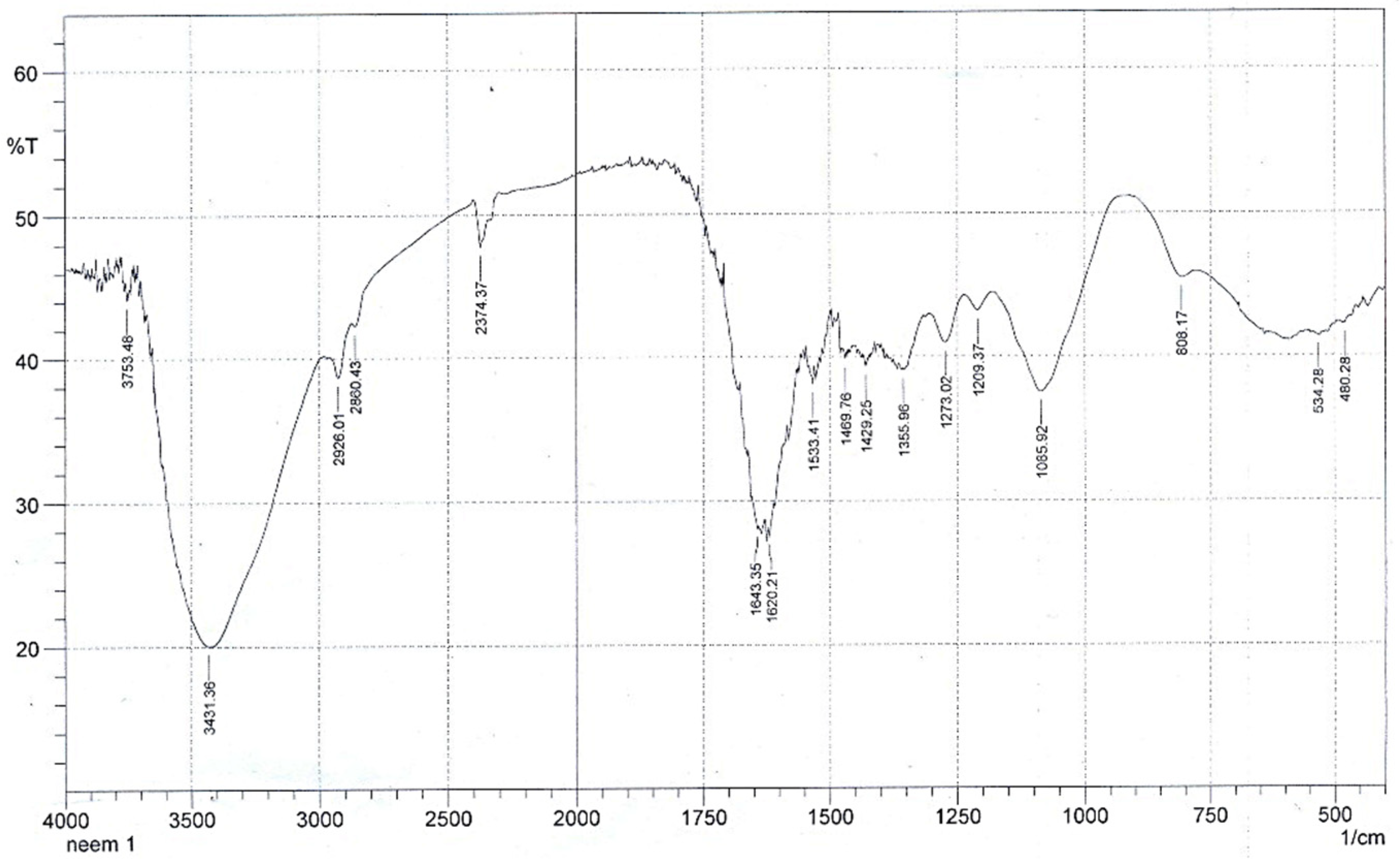 Materials 16 01023 g001