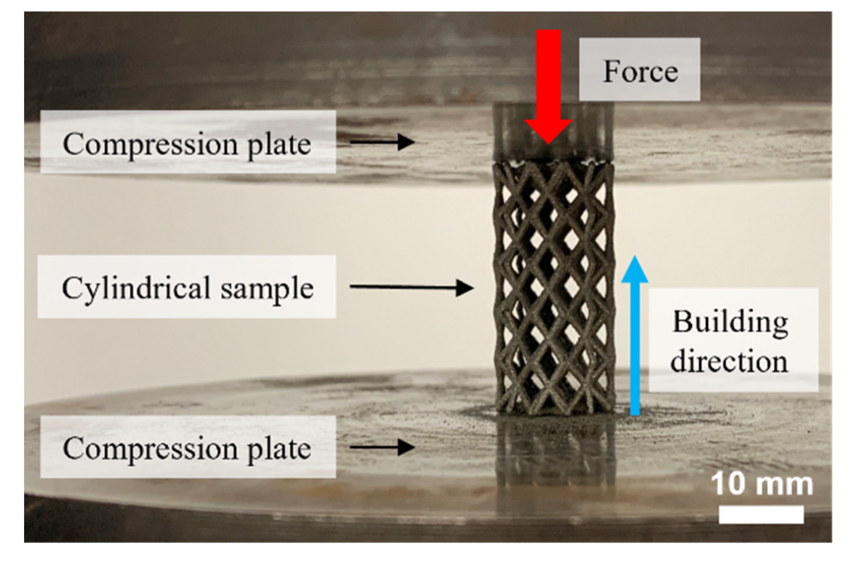 Materials 16 01025 g004