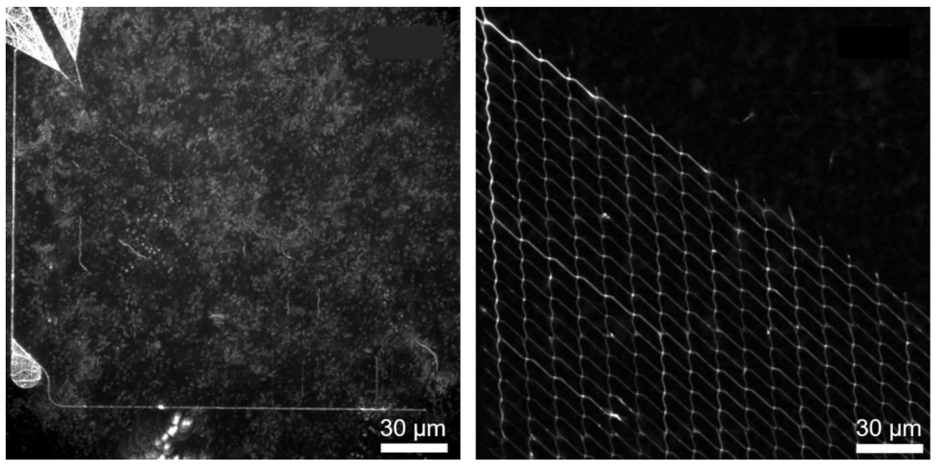 Materials 16 01046 g007