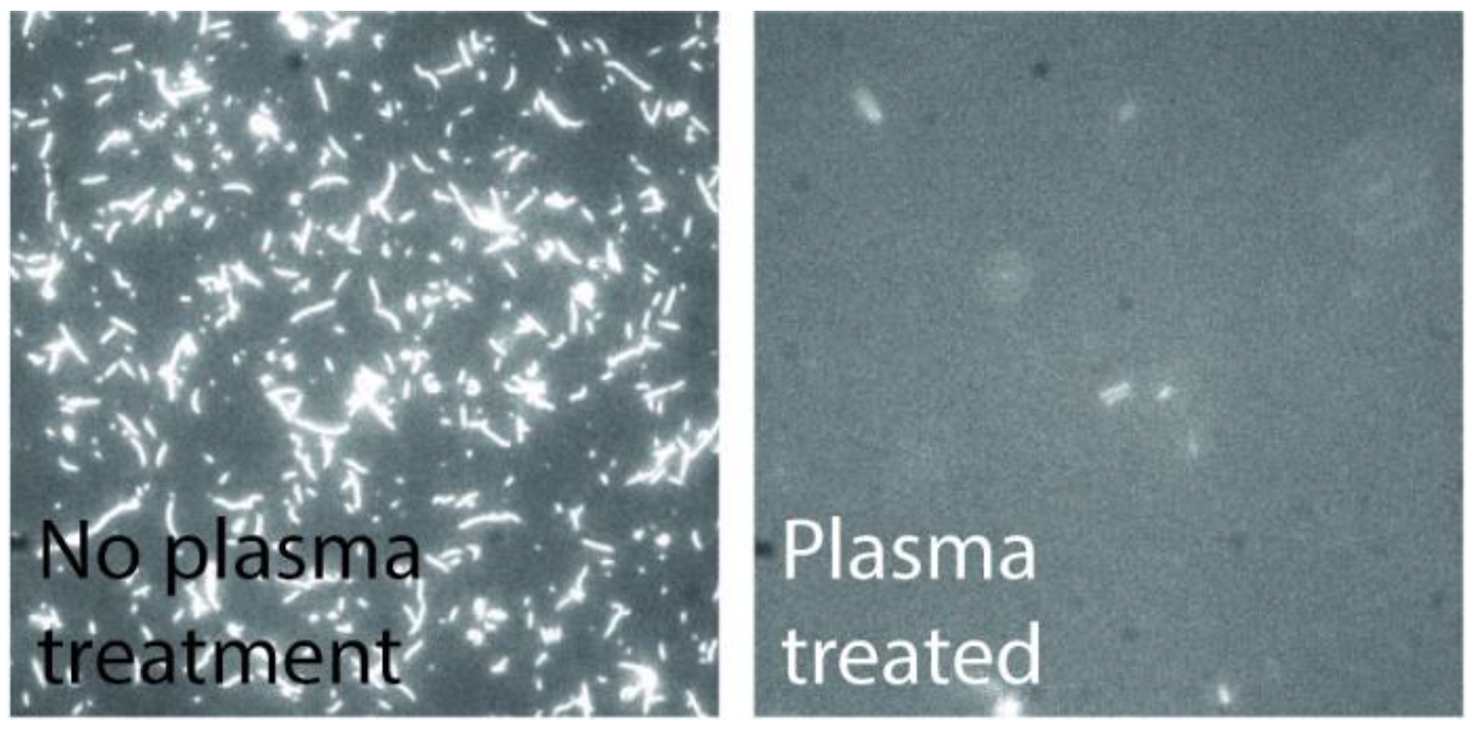 Materials 16 01046 g010