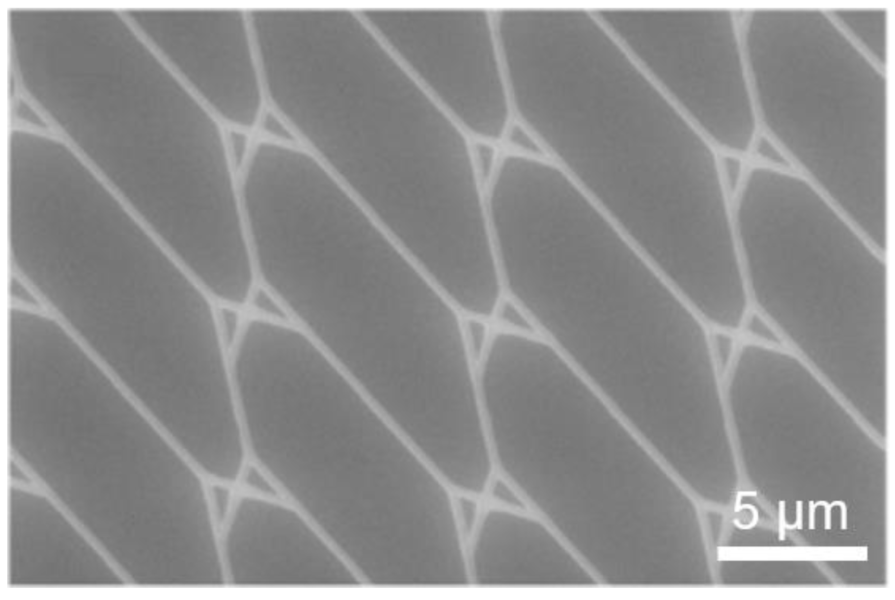 Materials 16 01046 g012