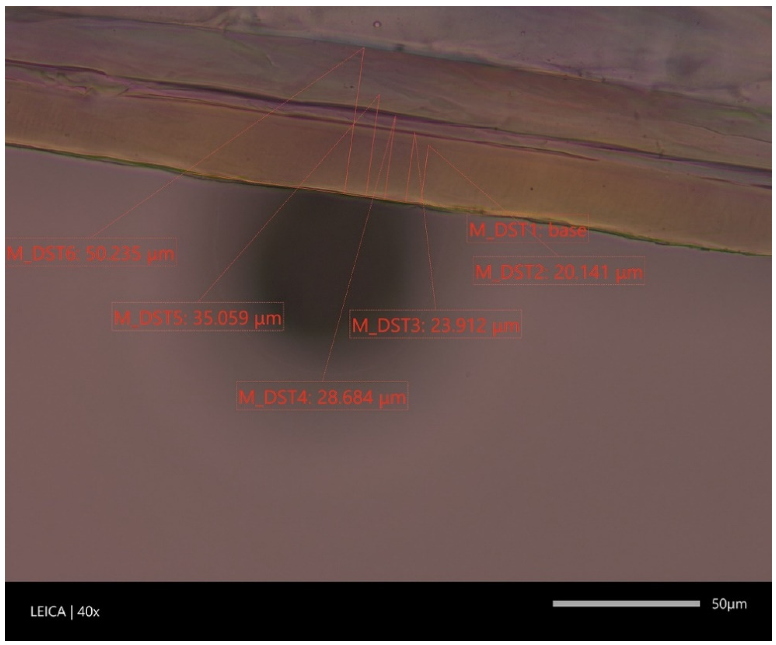 Materials 16 01071 g005