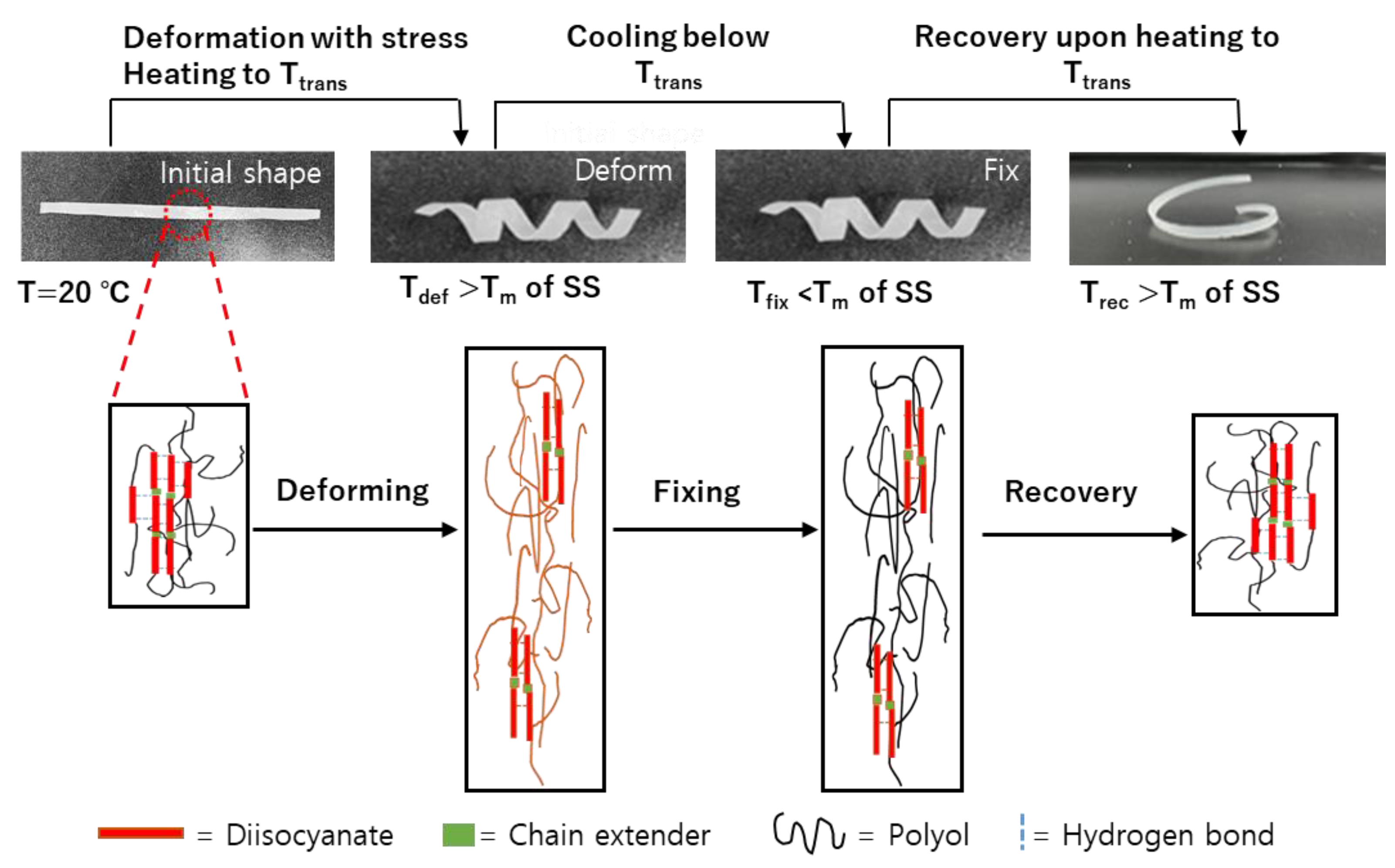 Materials 16 01072 g007