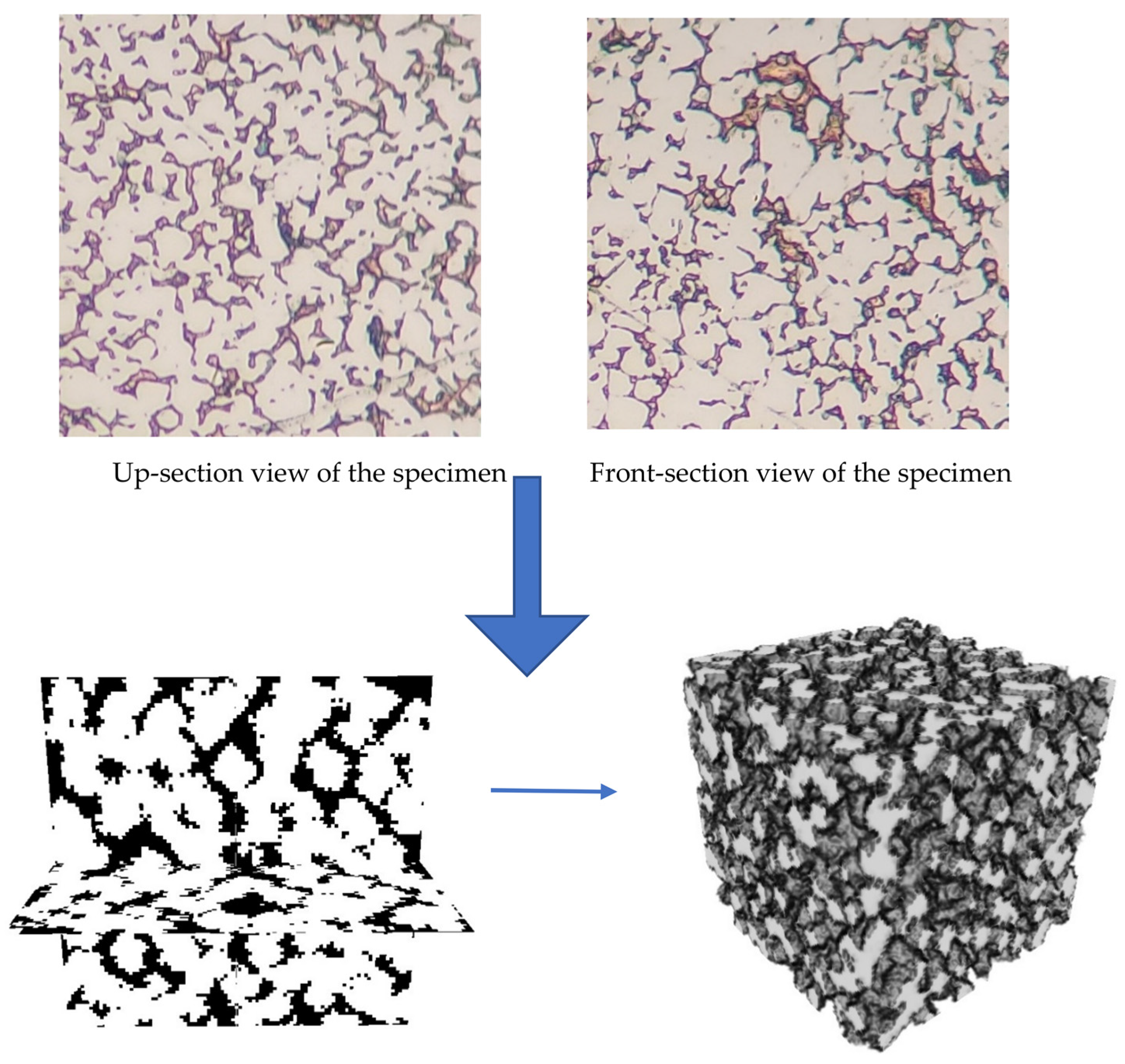 Materials 16 01088 g008