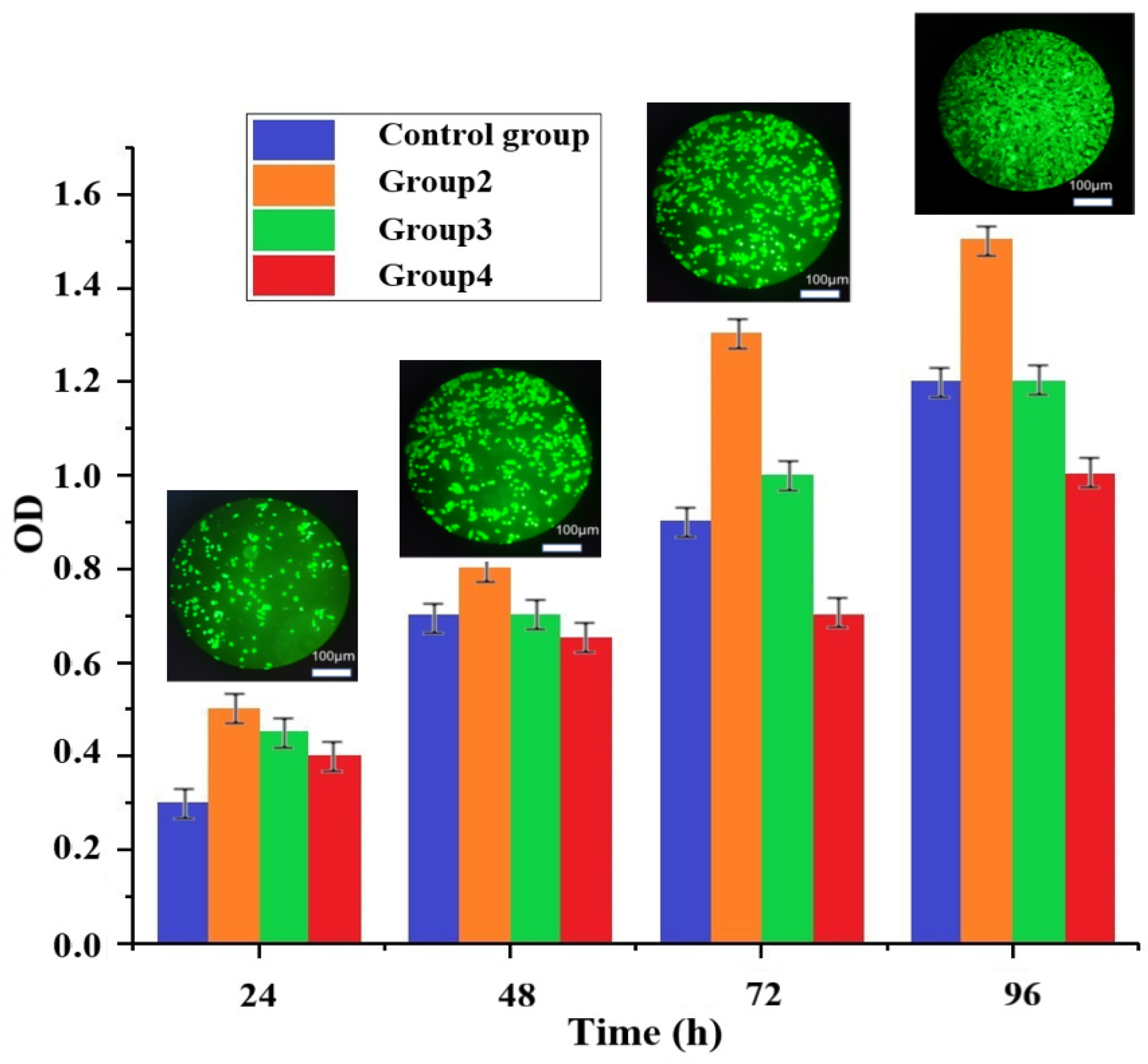 Materials 16 01107 g015 Materials 16 01107 g015