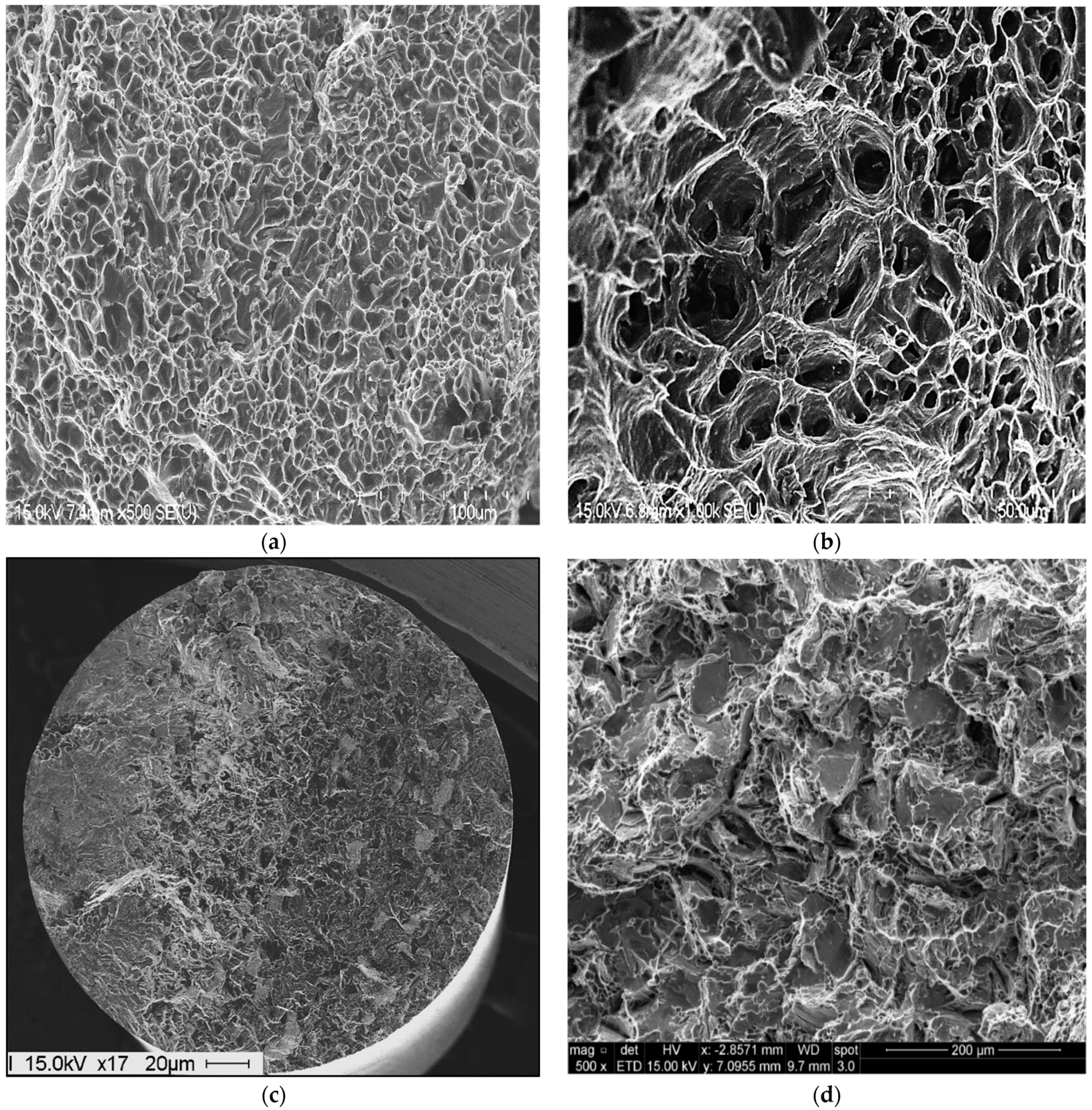 Materials 16 01110 g016