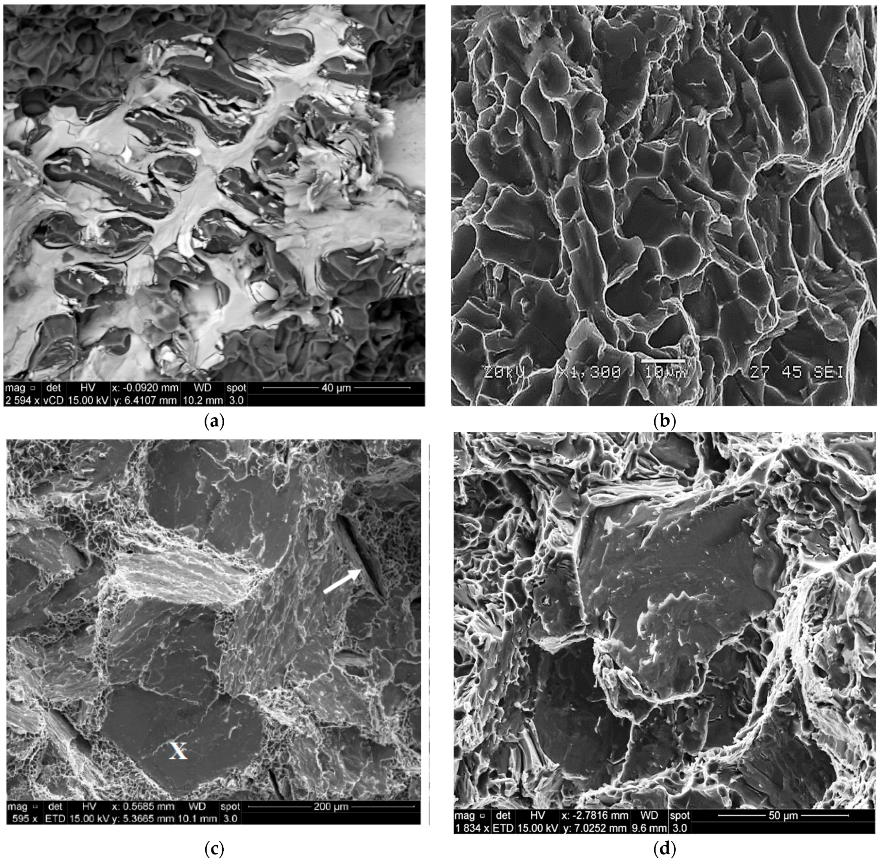 Materials 16 01110 g017