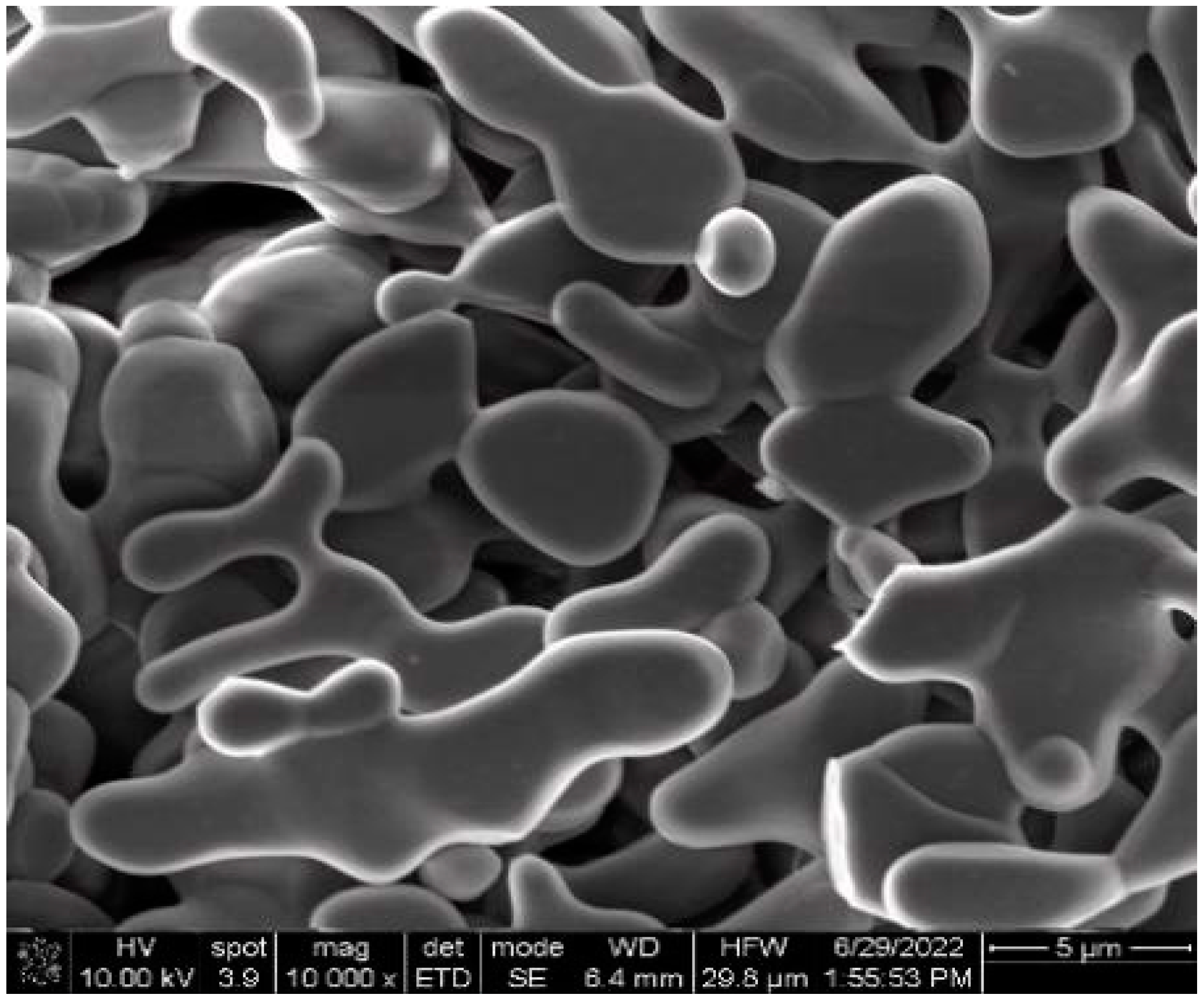 Materials 16 01128 g003 Materials 16 01128 g003