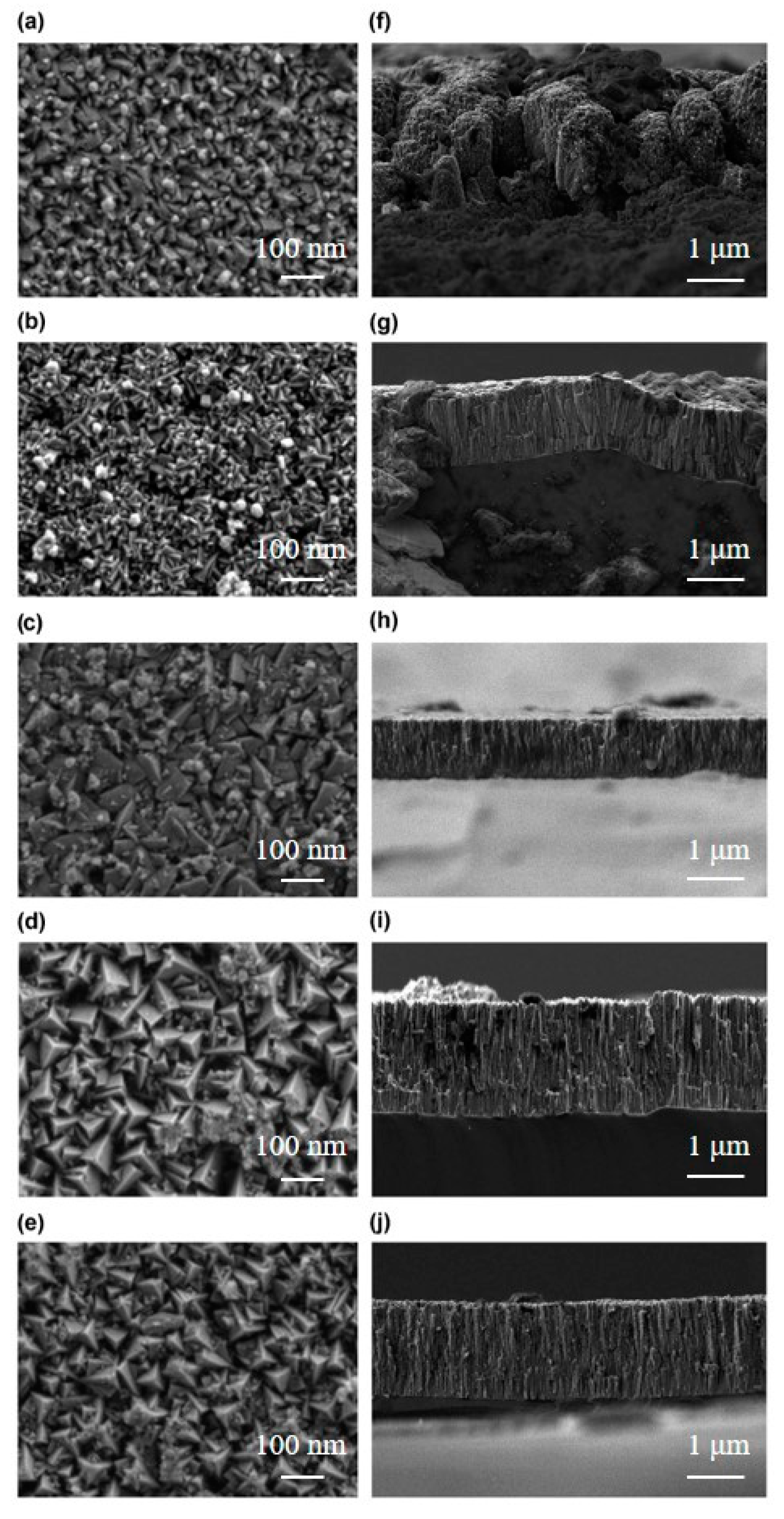 Materials 16 01141 g001