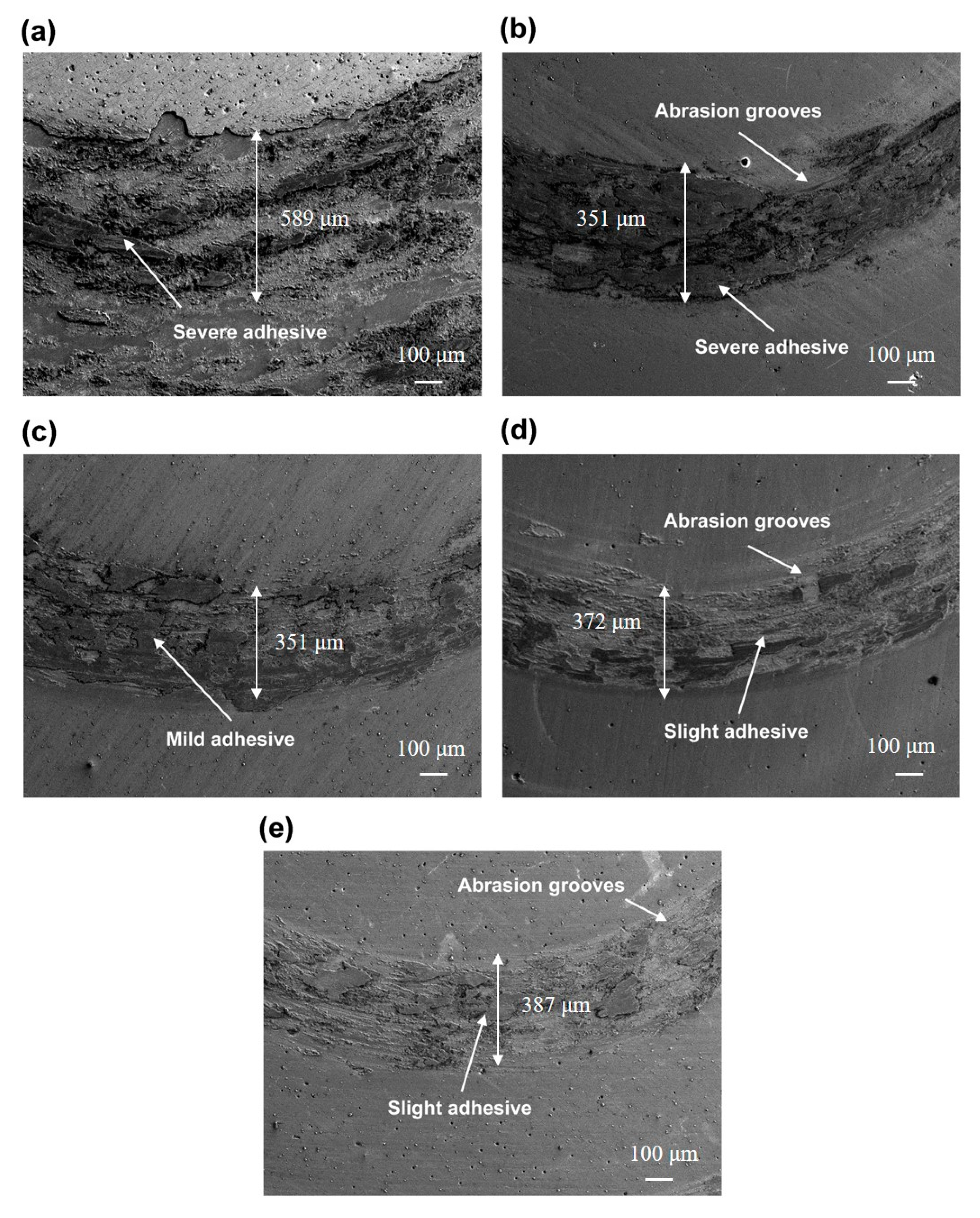 Materials 16 01141 g006