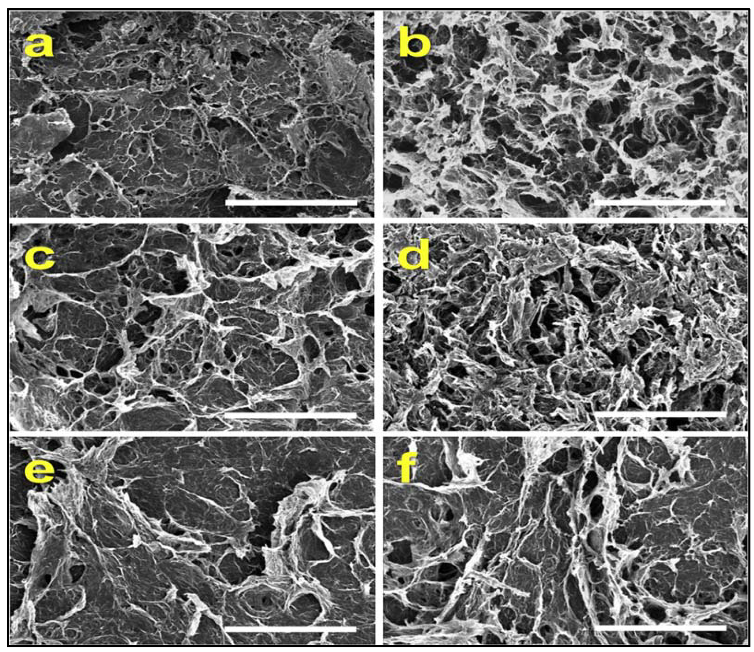 Materials 16 01155 g006