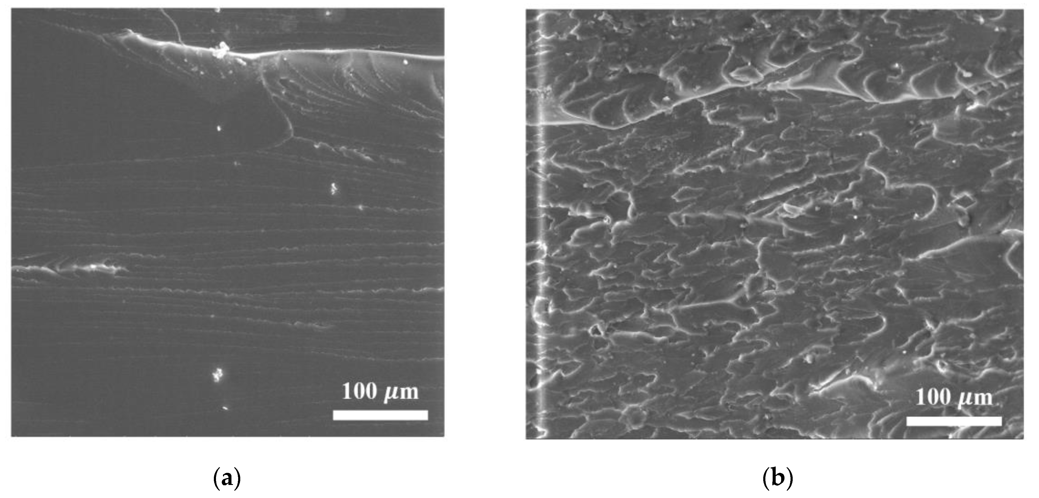 Materials 16 01157 g005a Materials 16 01157 g005a