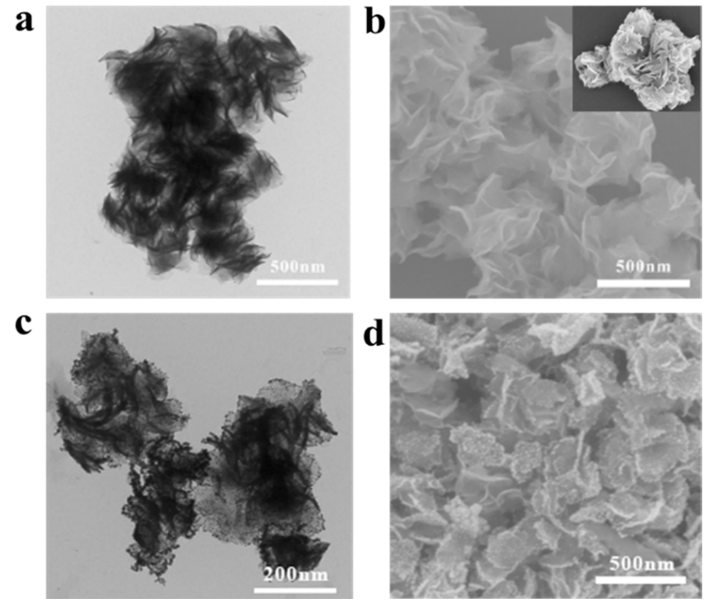 Materials 16 01169 g0a1 Materials 16 01169 g0a1