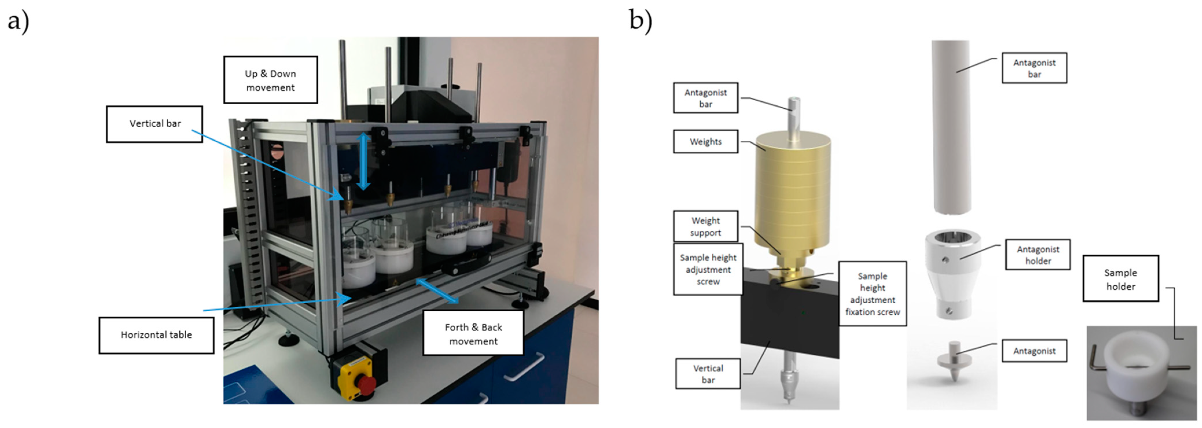 Materials 16 01171 g002 Materials 16 01171 g002