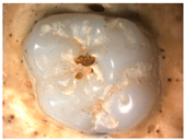 Materials 16 01171 i003 Materials 16 01171 i003