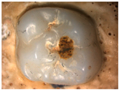 Materials 16 01171 i005 Materials 16 01171 i005