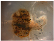 Materials 16 01171 i006 Materials 16 01171 i006