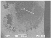 Materials 16 01171 i016 Materials 16 01171 i016