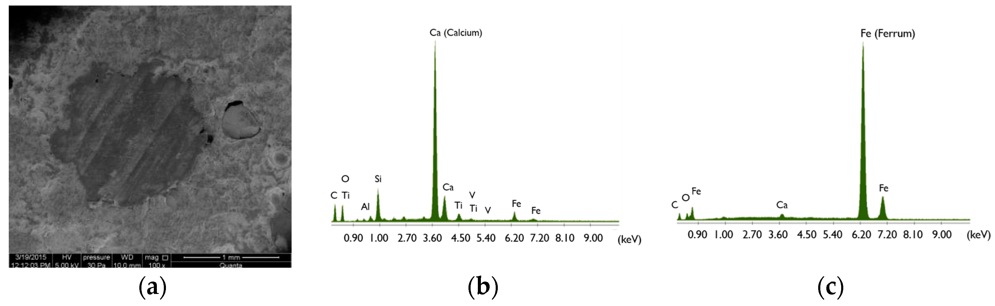Materials 16 01174 g003 Materials 16 01174 g003