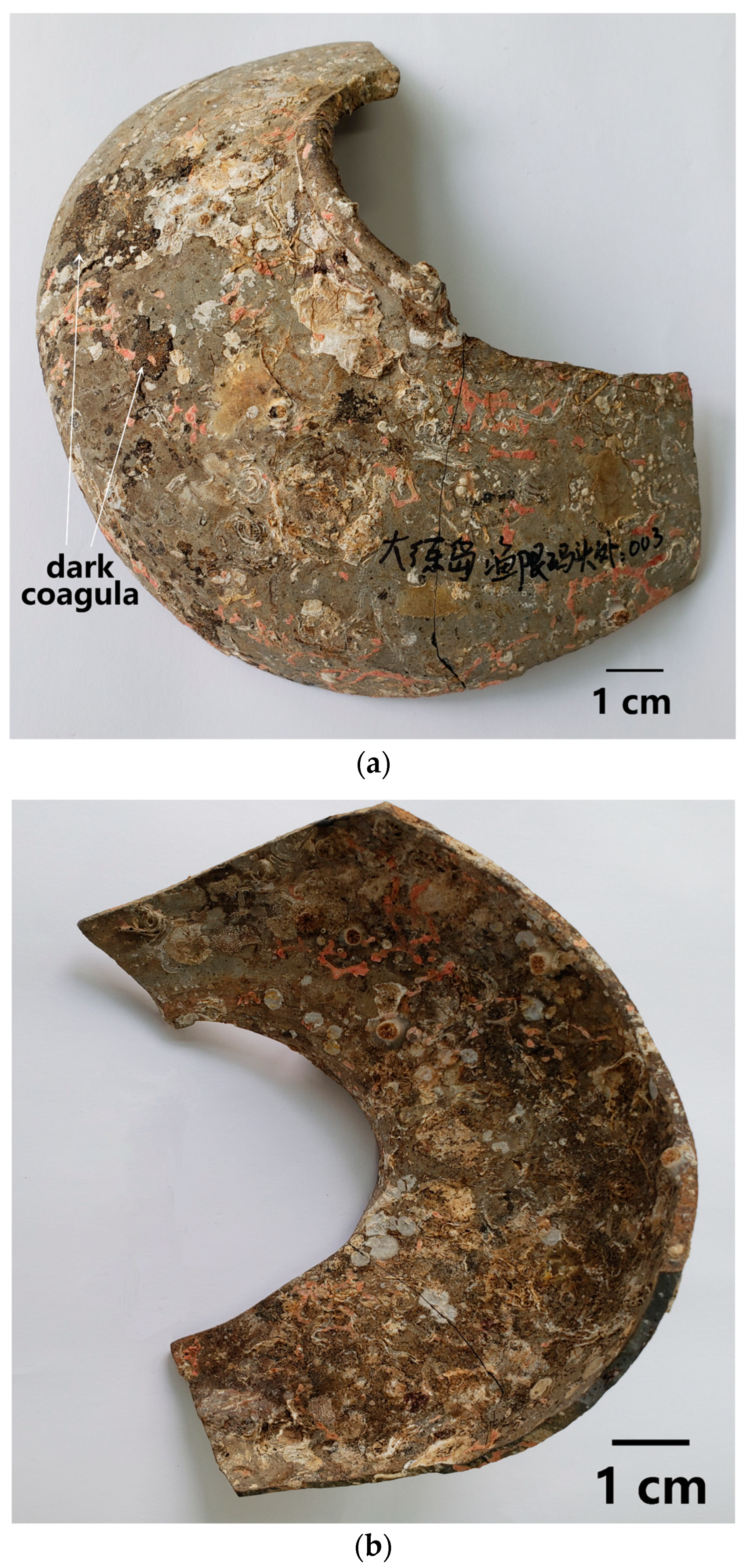Materials | Free Full-Text | Degradation Mechanism of a Sauce-Glazed Ware  of the Song Dynasty Salvaged out of the Water at Dalian Island Wharf: Part  I&mdash;The Effect of the Surface-Attached Composite Coagula