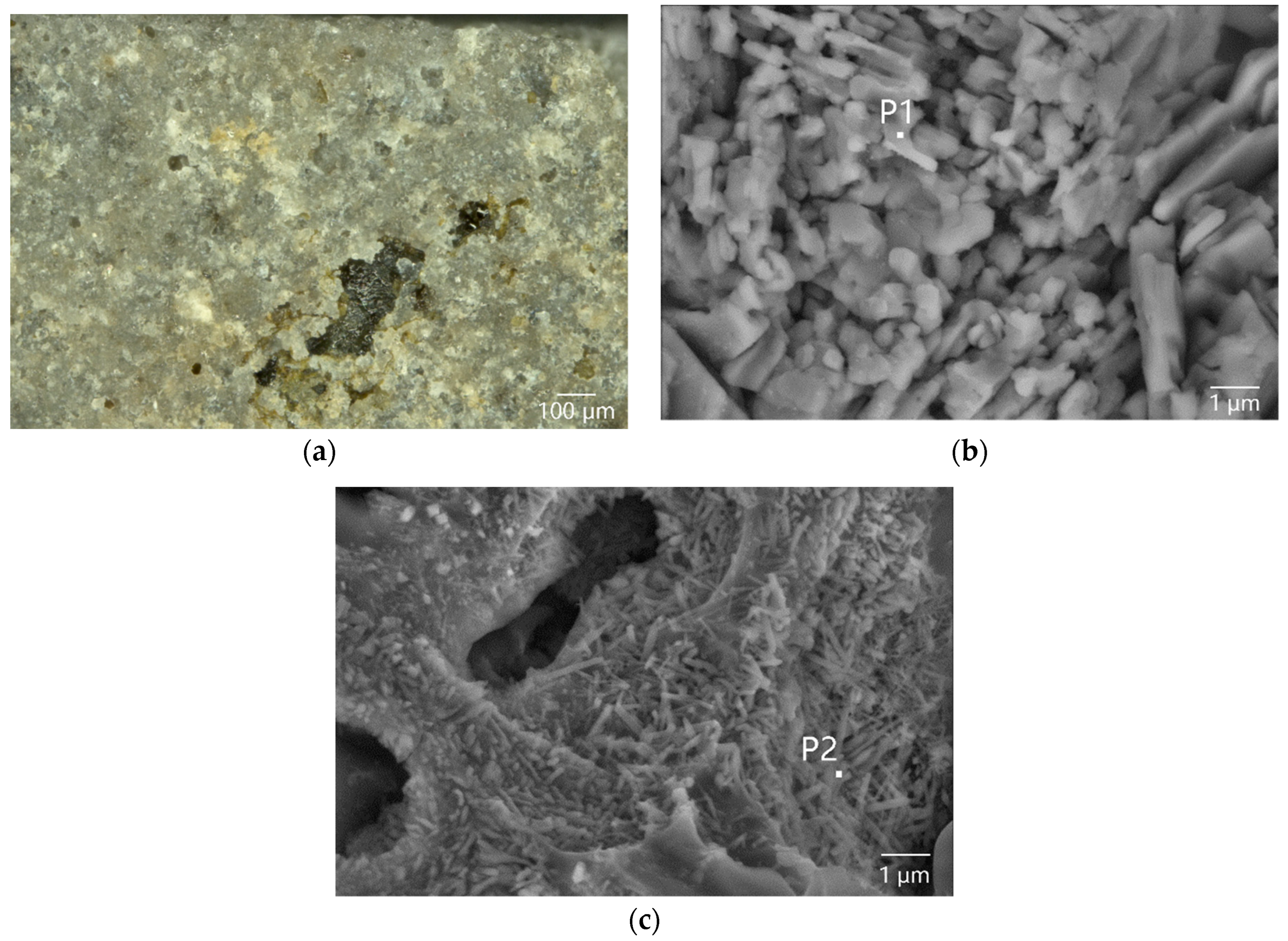 Materials 16 01176 g002 Materials 16 01176 g002