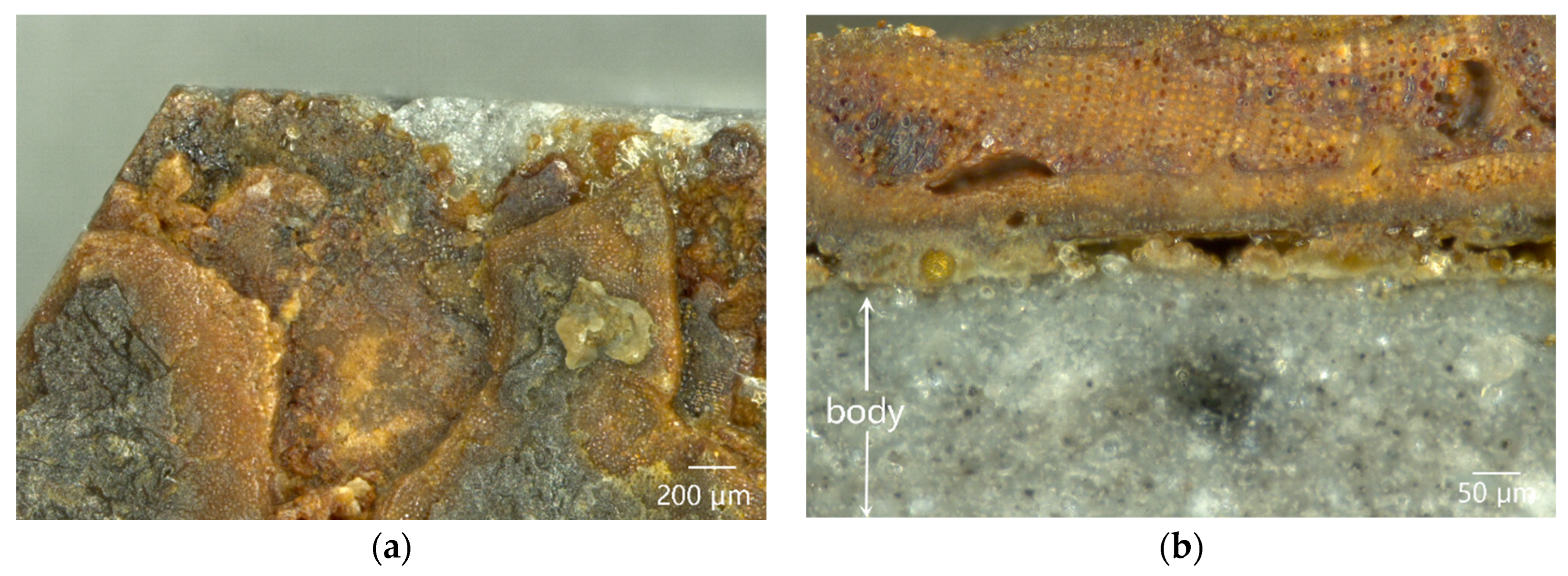 Materials 16 01176 g007 Materials 16 01176 g007