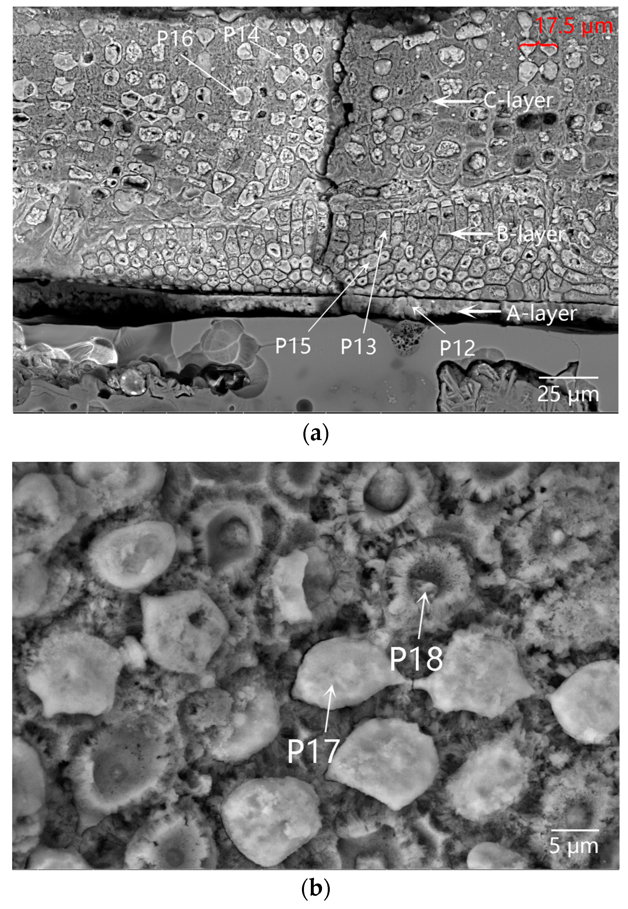 Materials 16 01176 g010 Materials 16 01176 g010