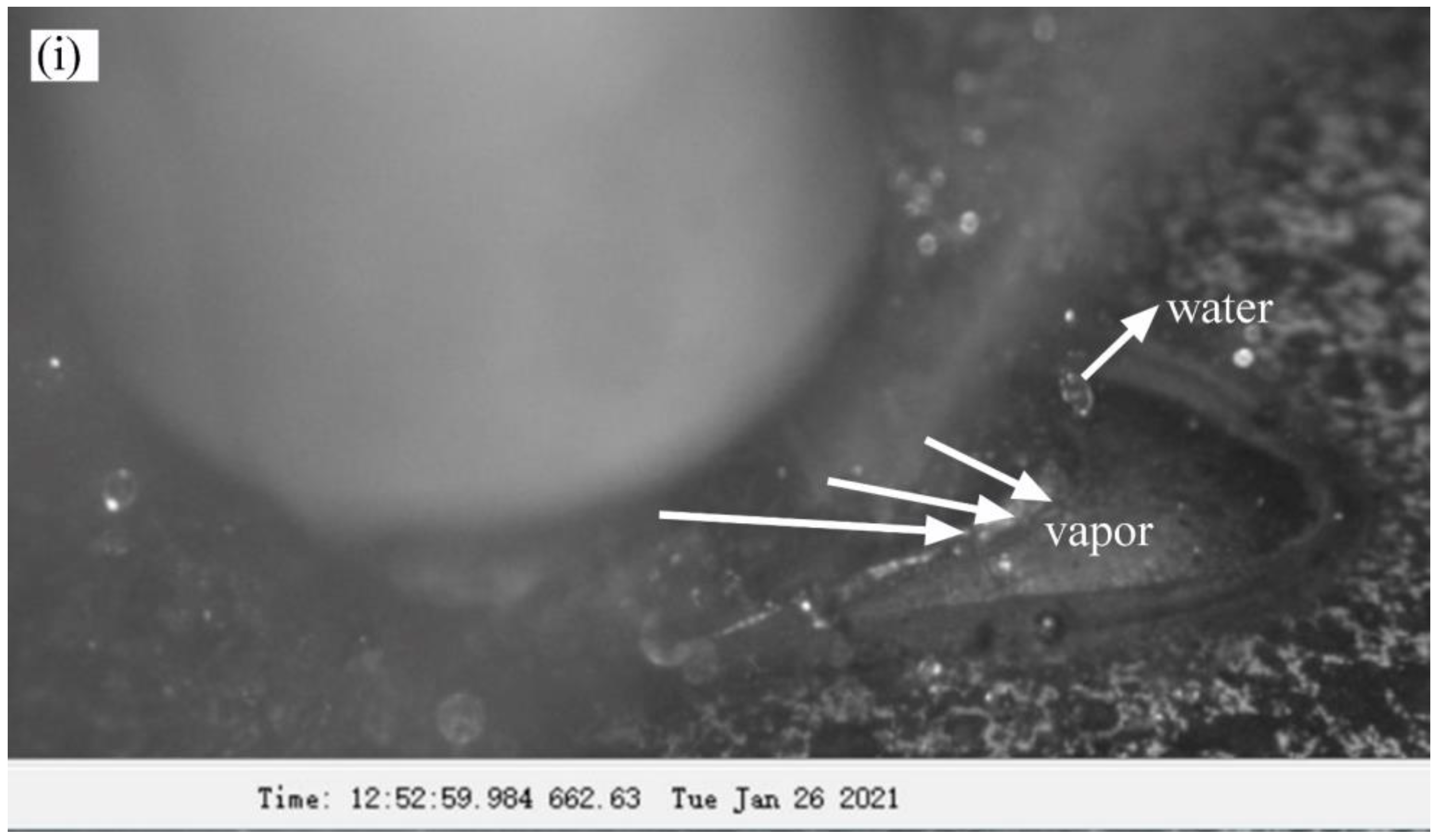 Materials 16 01184 g007b