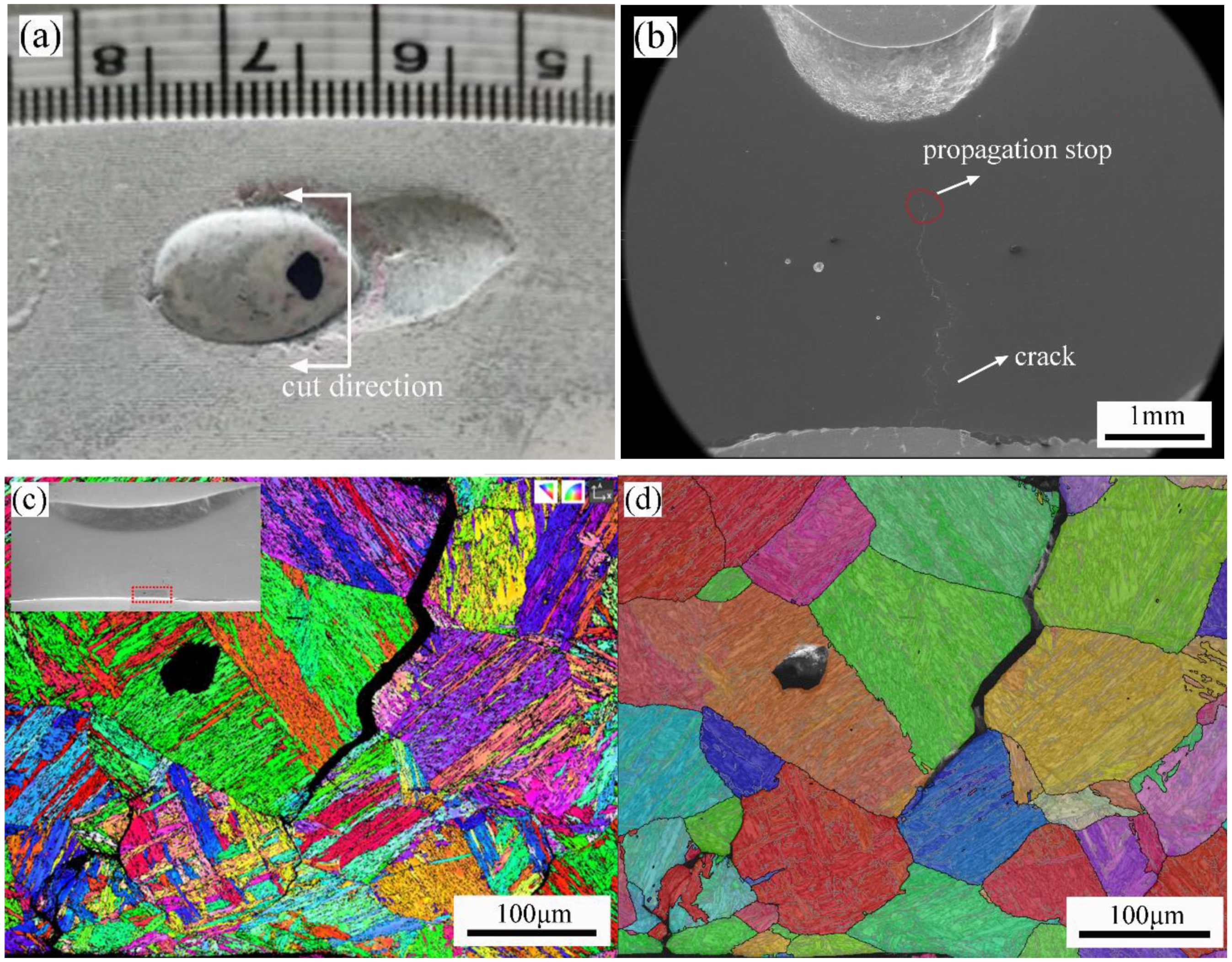 Materials 16 01184 g016