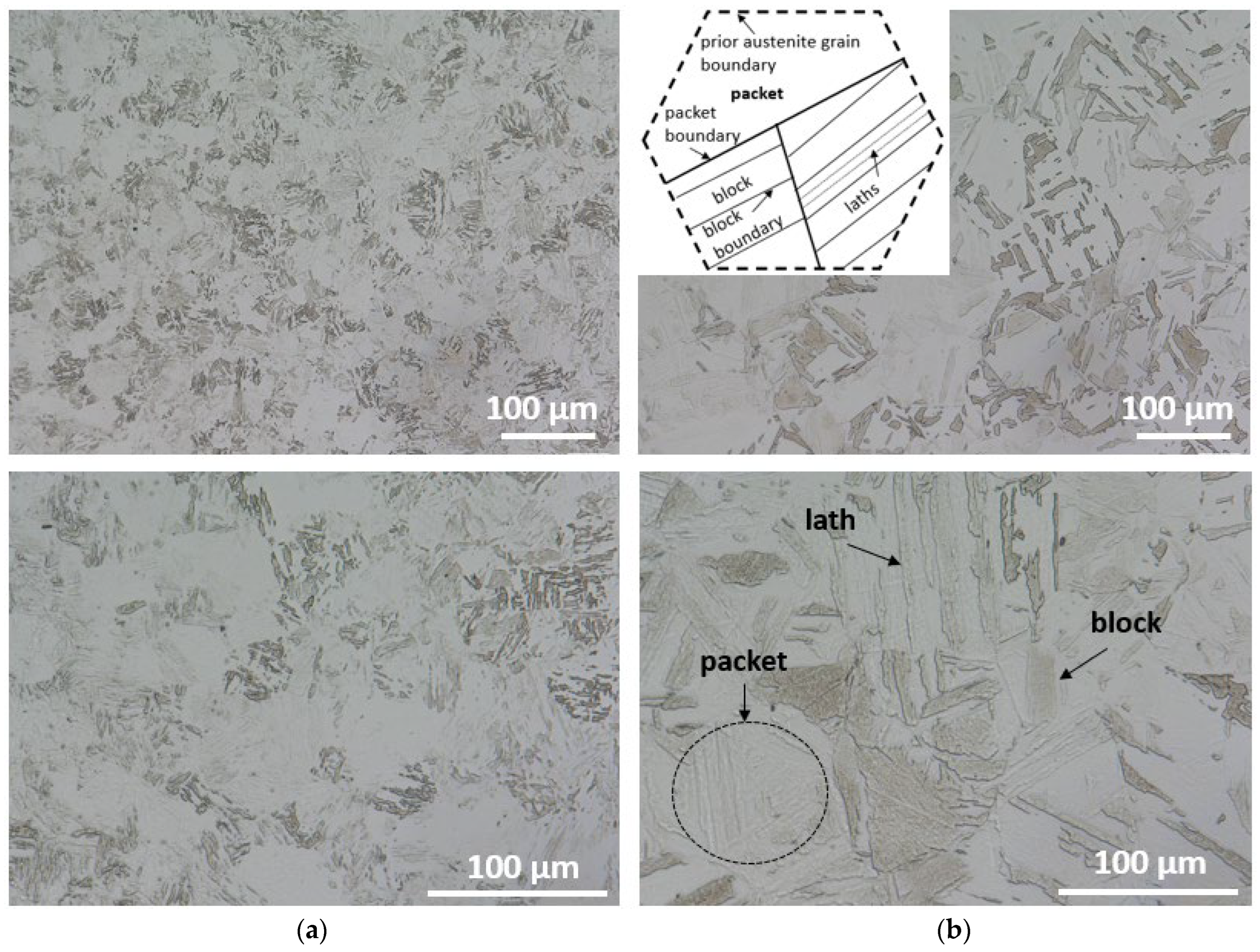 Materials 16 01206 g006