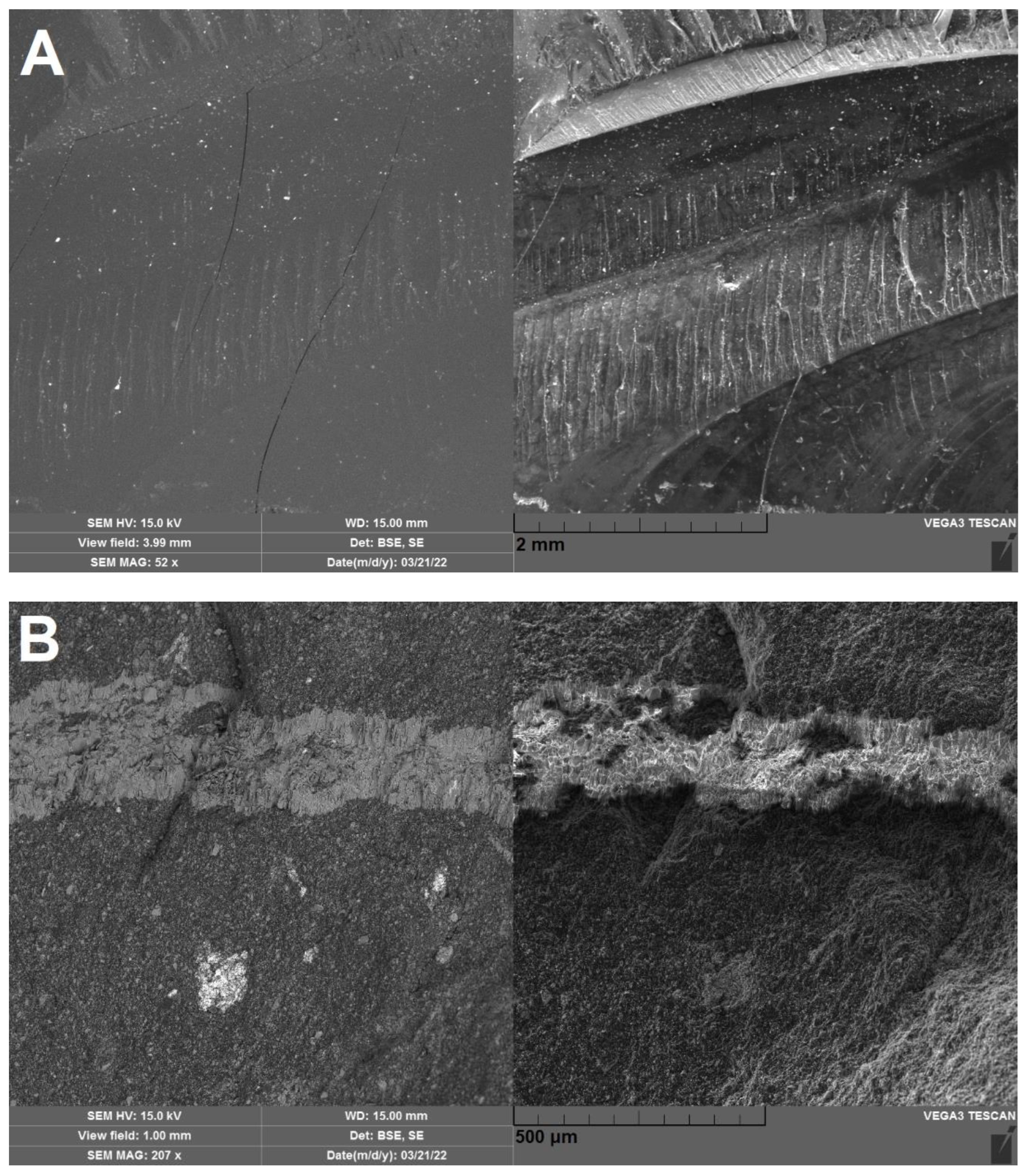 Materials | Free Full-Text | Shungite (Mineralized Carbon) as a Promising  Electrode Material for Electroanalysis