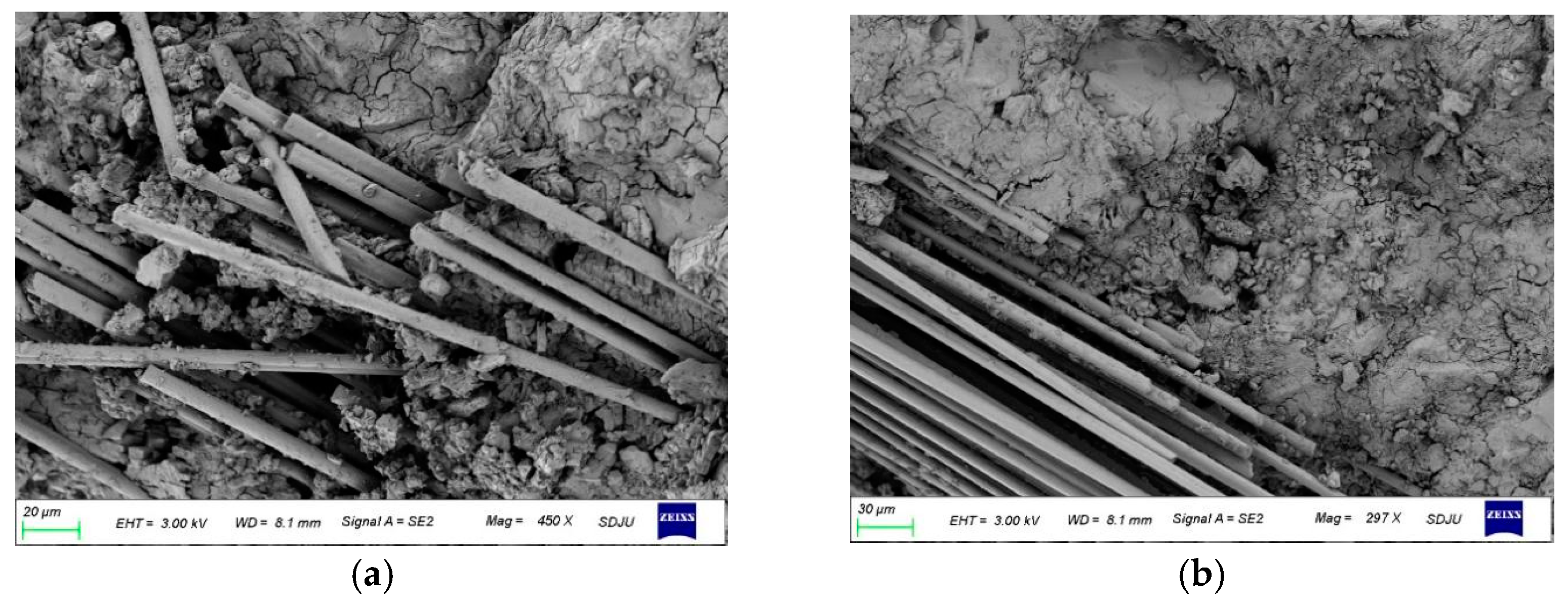 Materials 16 01258 g005